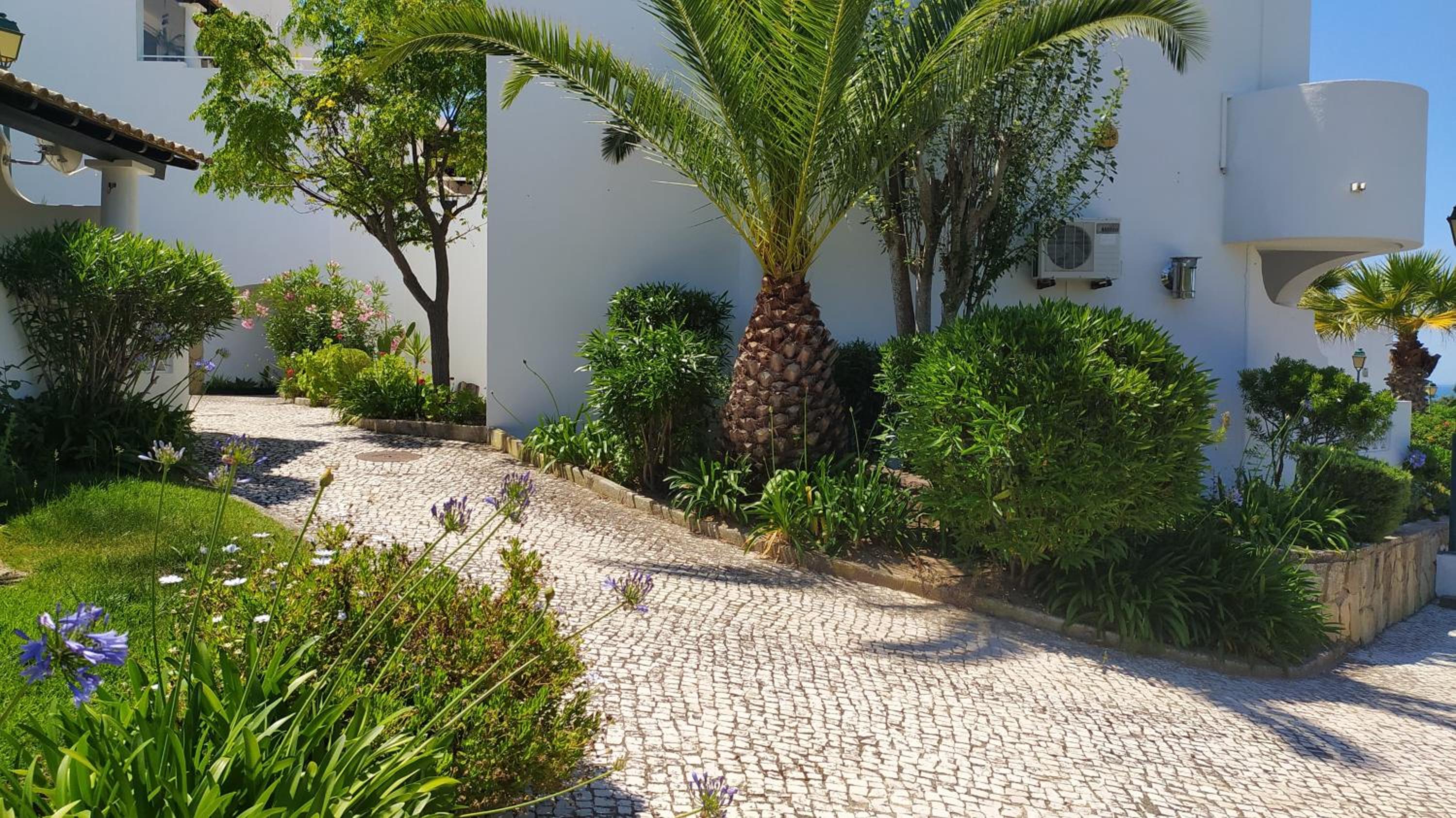 Three Palms Apartment view 4