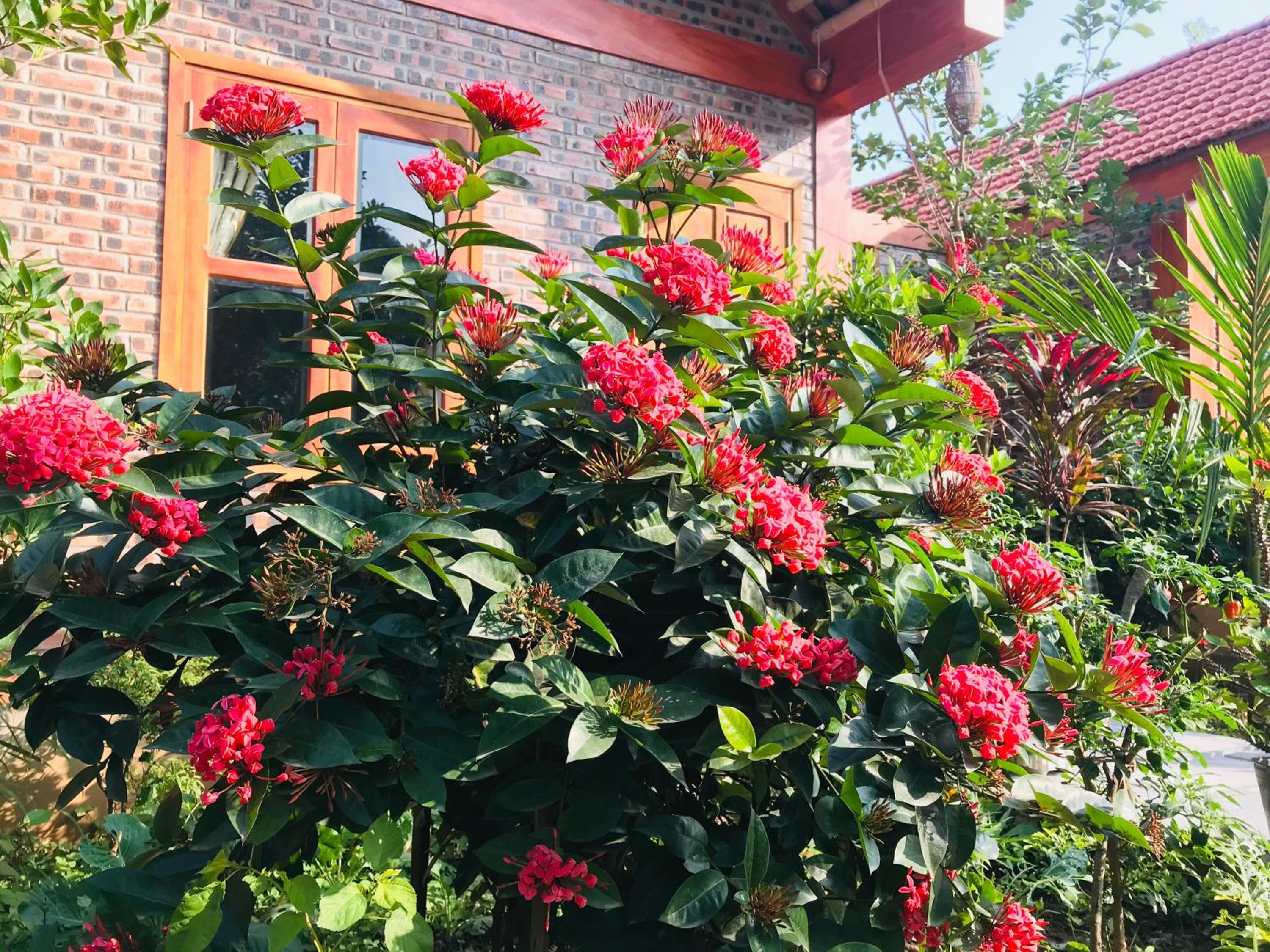 Photo 78