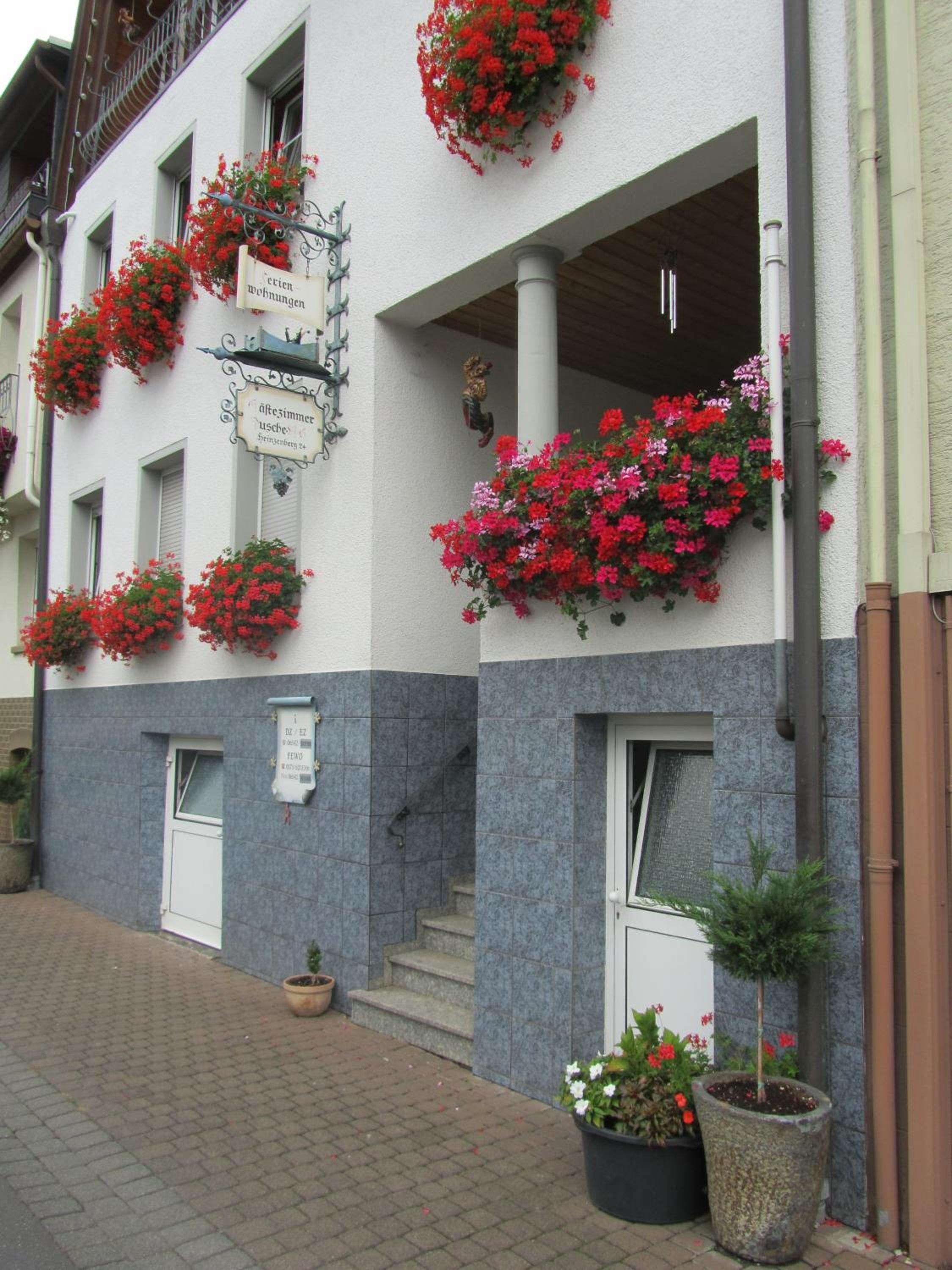 Mosel Panorama