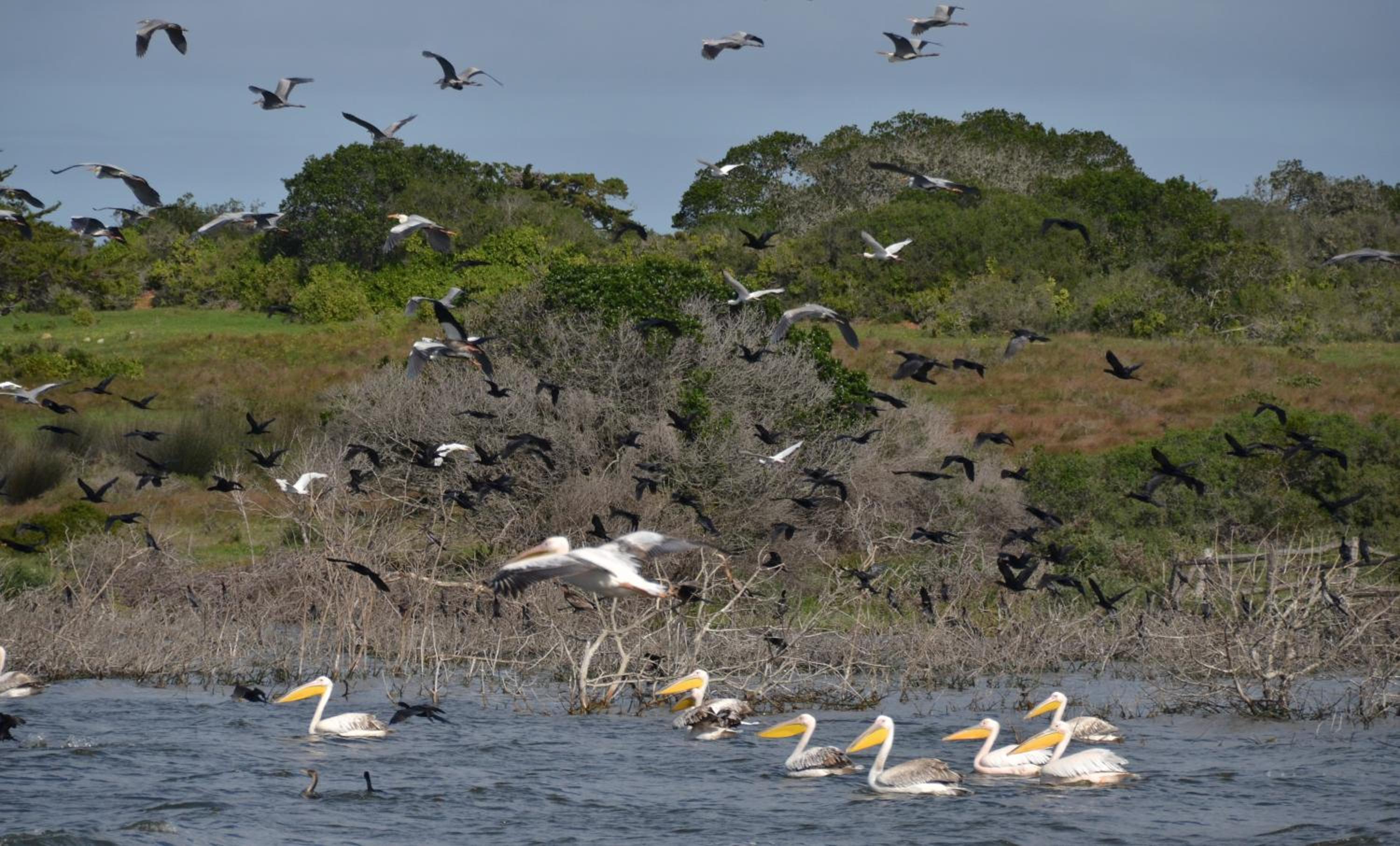 De Hoop Collection - Vlei Cottages view 3