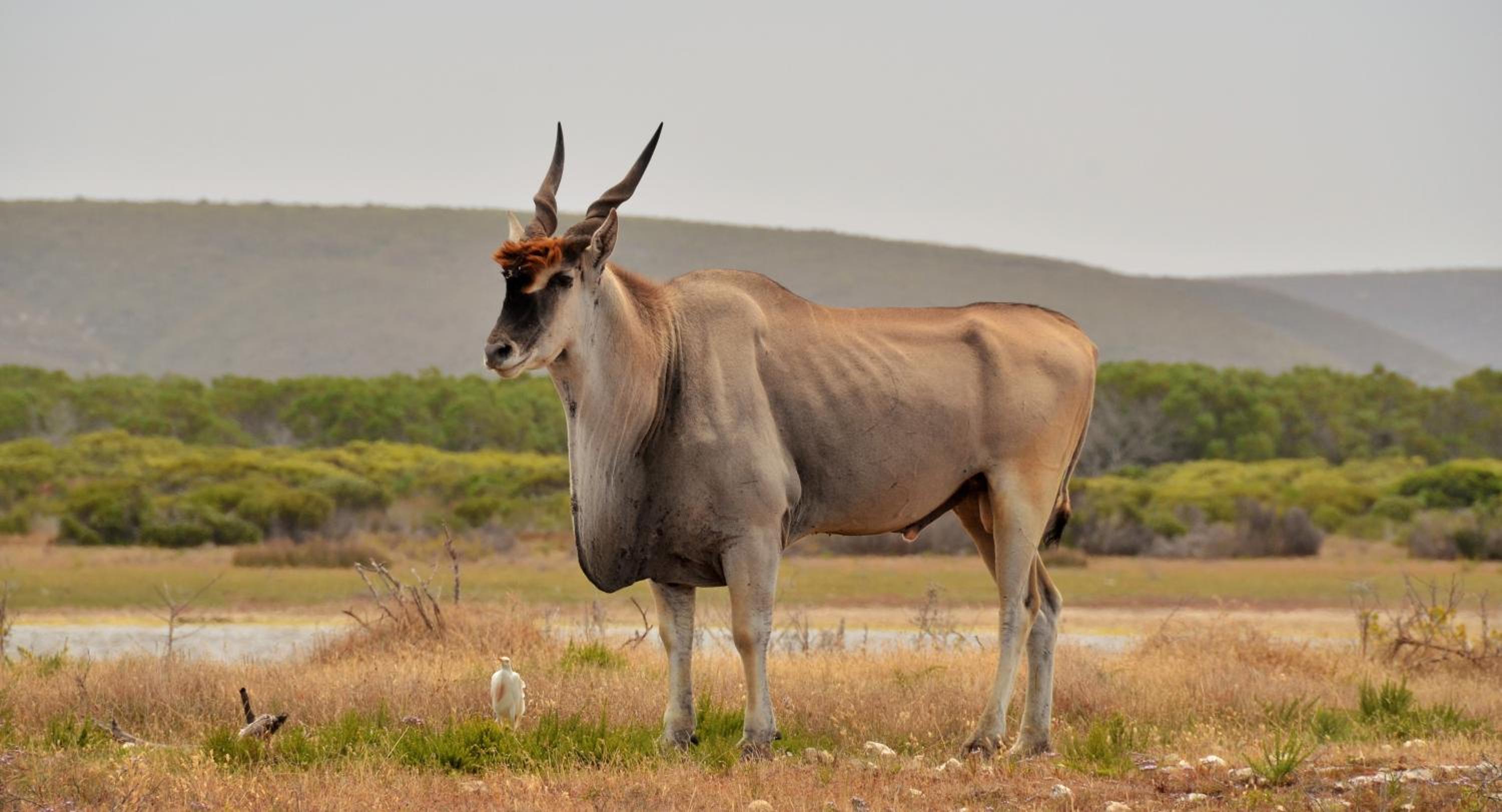 De Hoop Collection - Vlei Cottages view 5