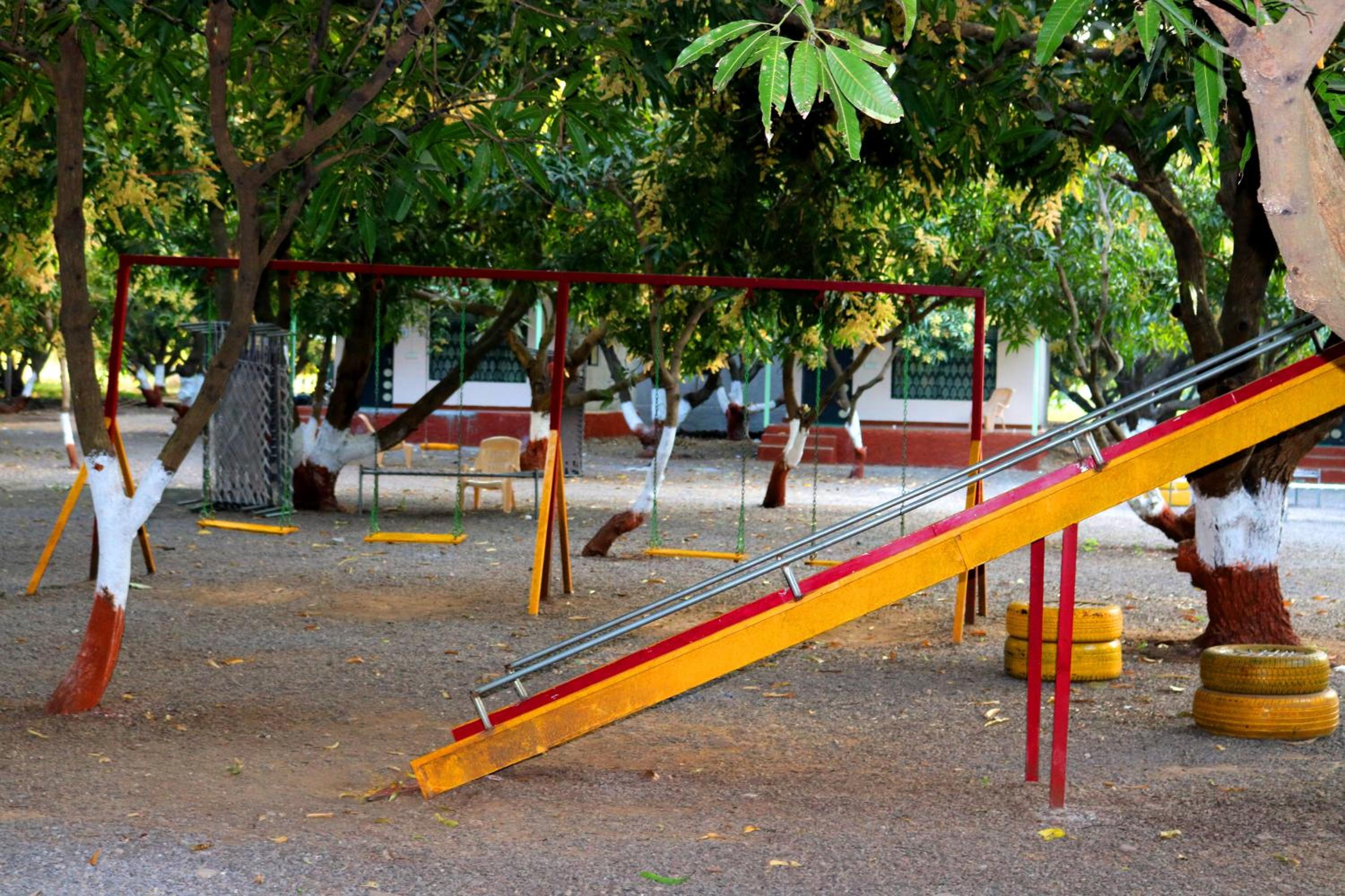Photo 20