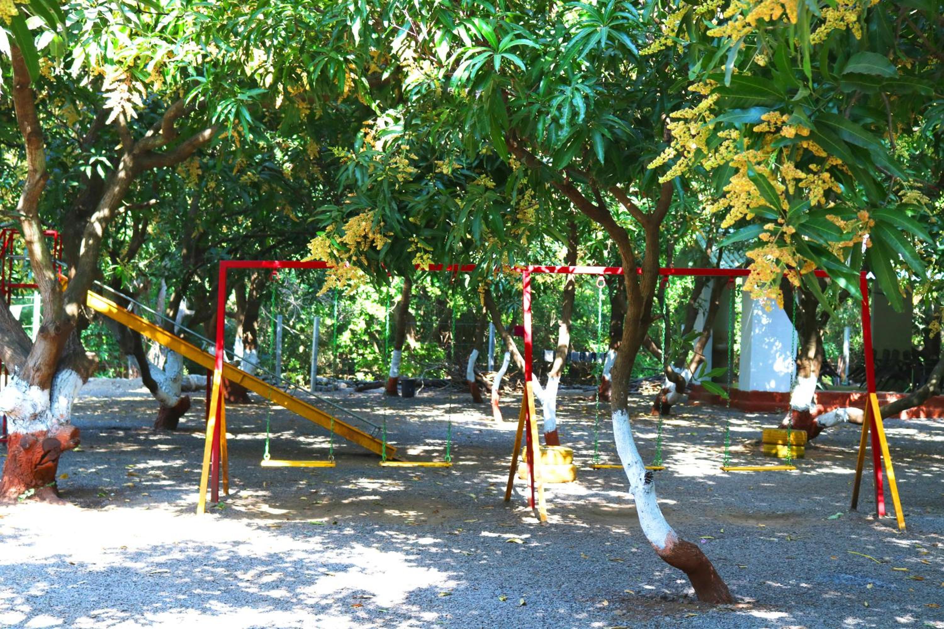 Photo 40