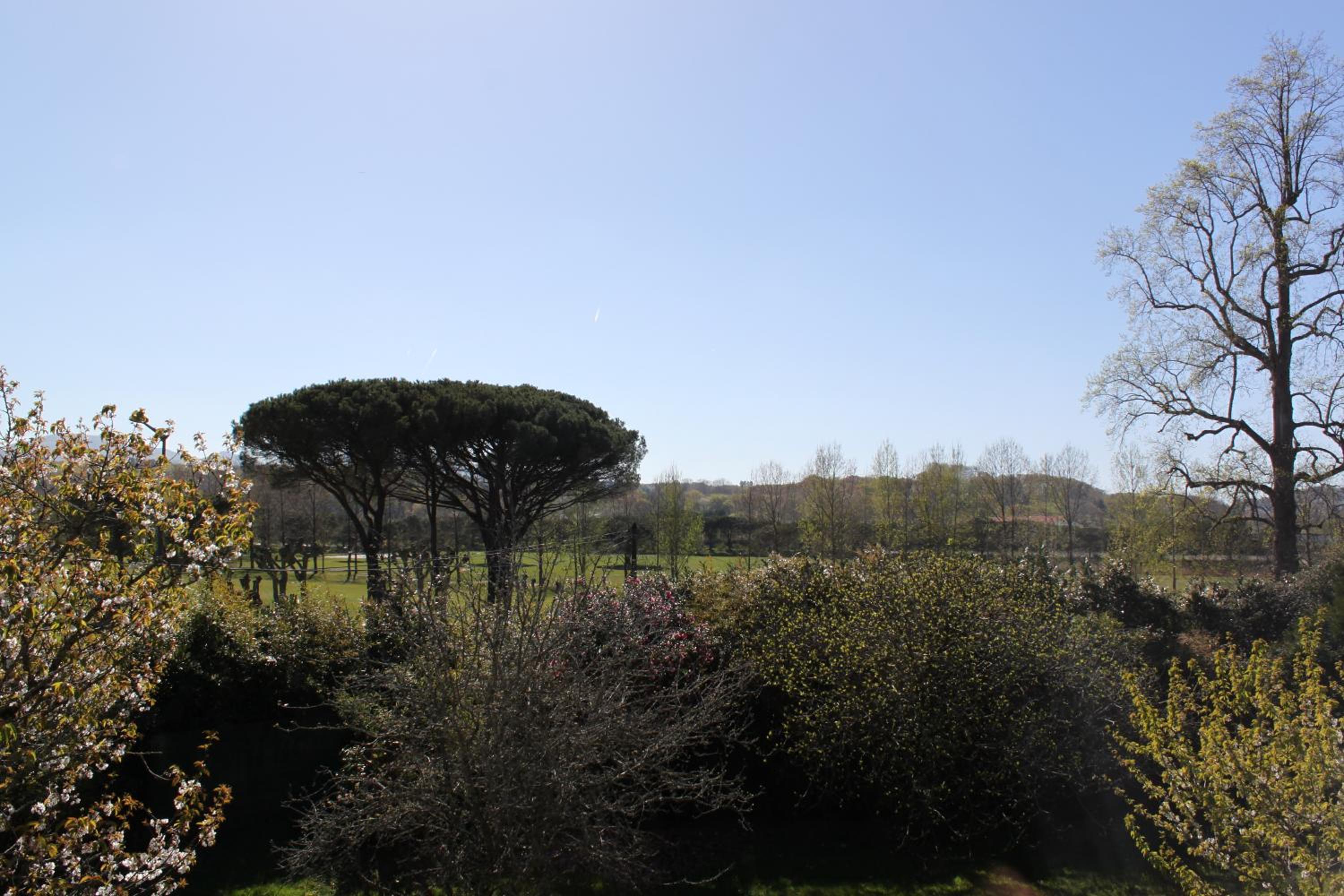 Appartements de Chantaco view 5
