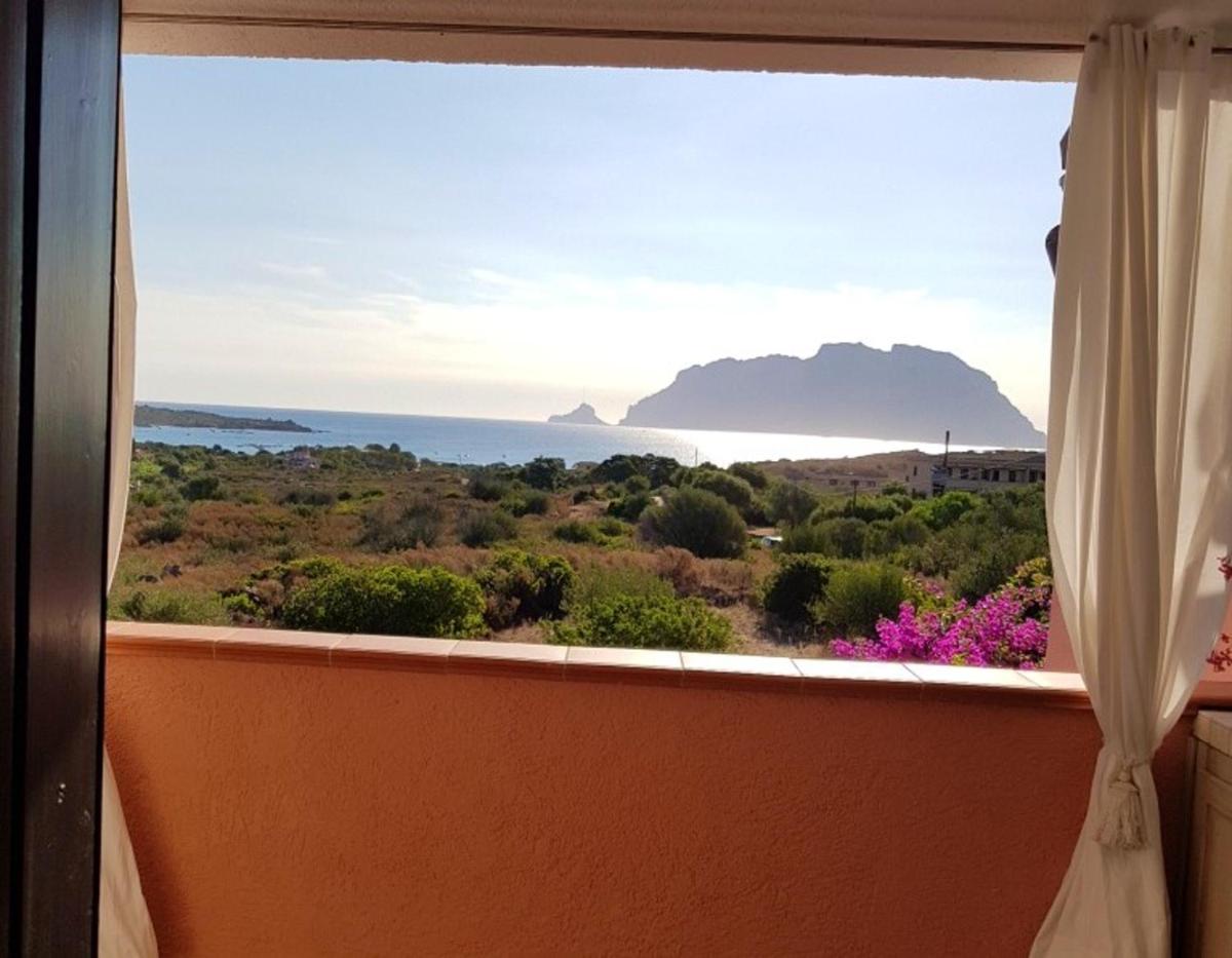 3 bedrooms appartement at Olbia 300 m away from the beach with sea view and enclosed garden