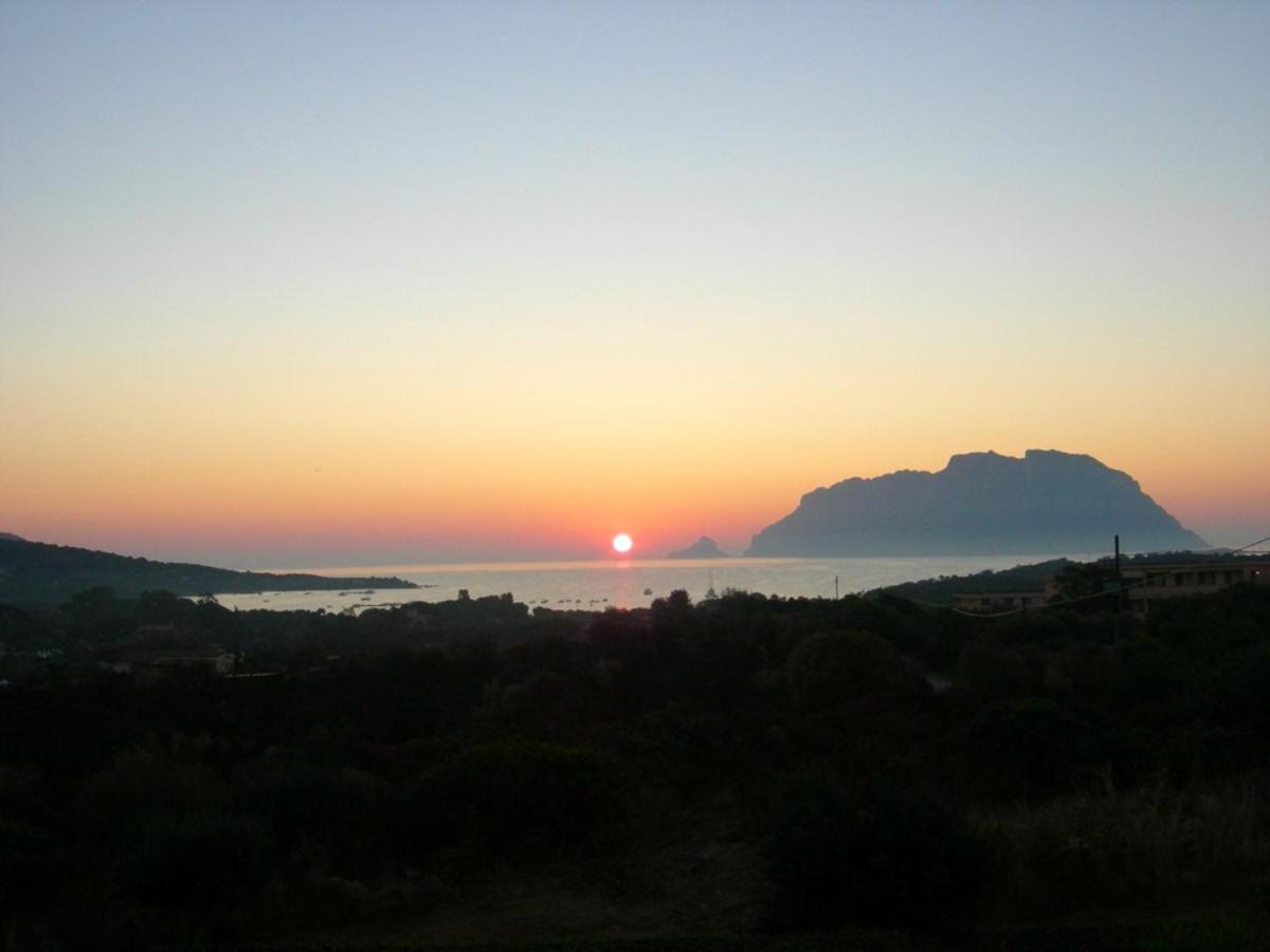 3 bedrooms appartement at Olbia 300 m away from the beach with sea view and enclosed garden