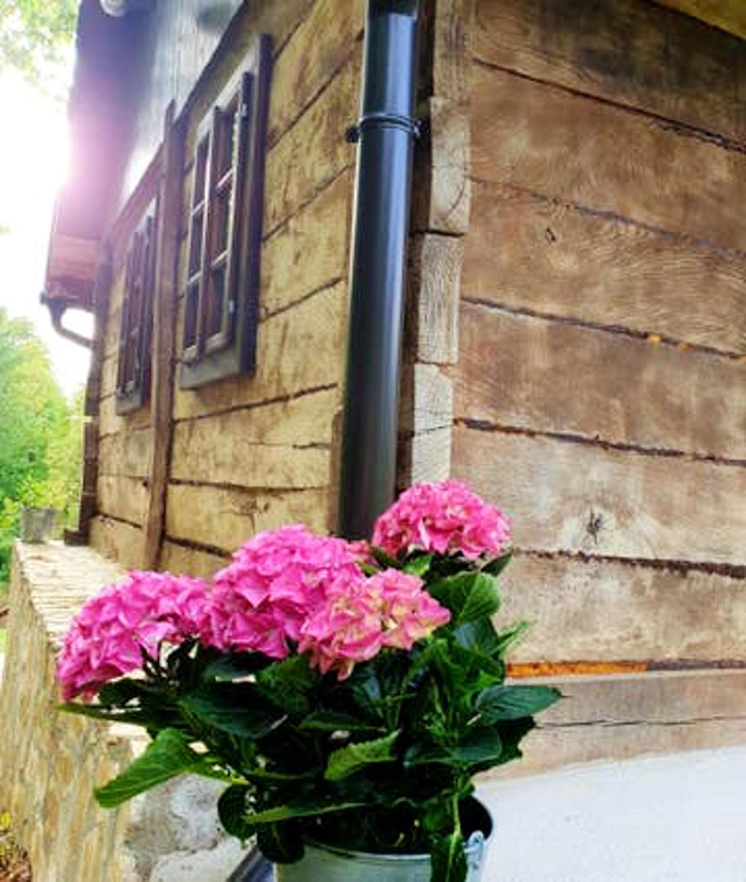 Photo 42