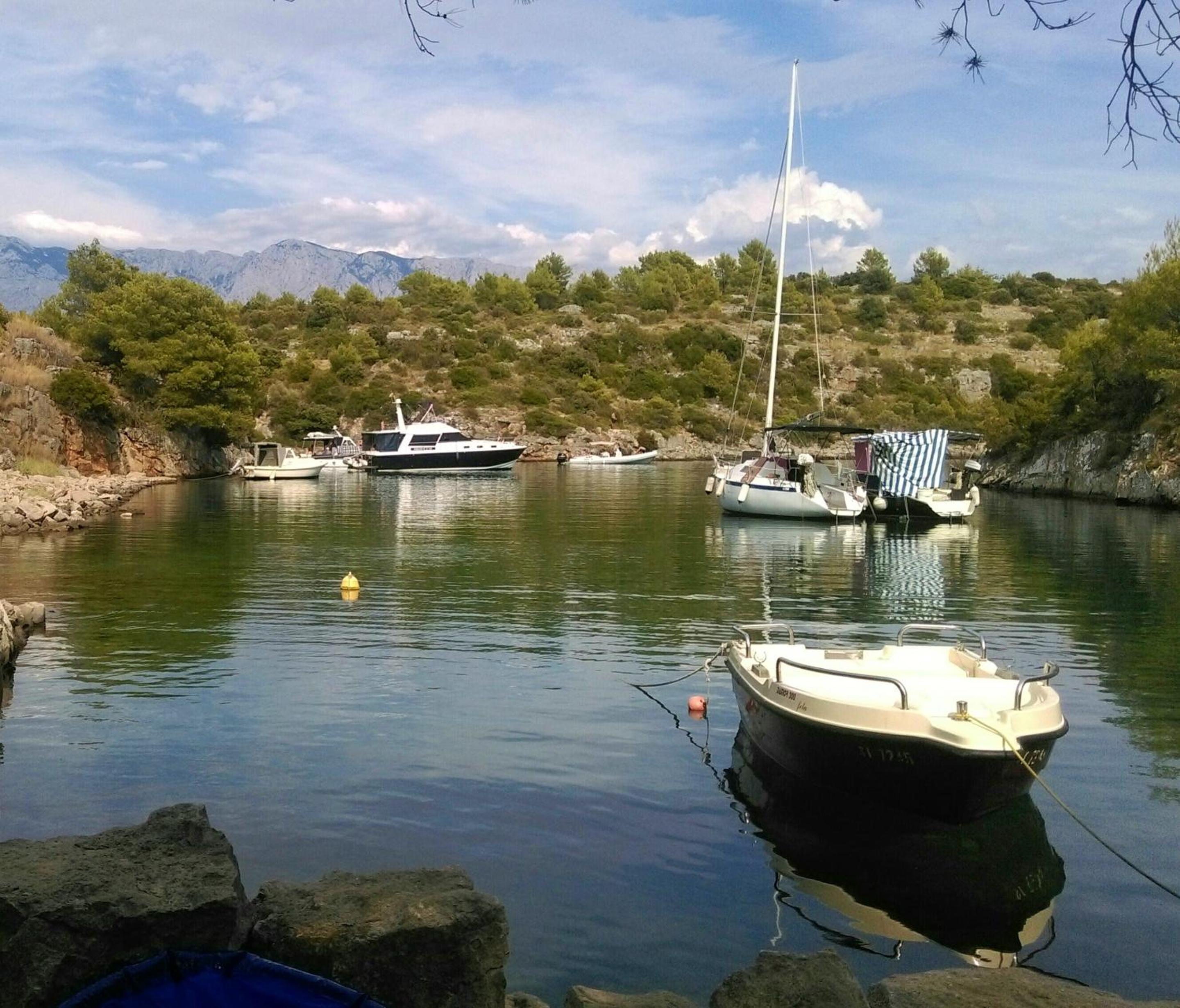 Photo 40