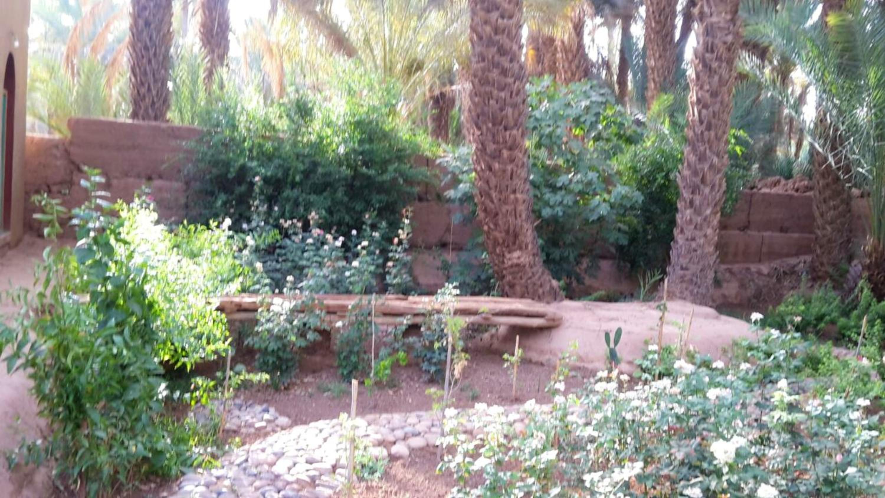 Charming house with pool in Zagora
