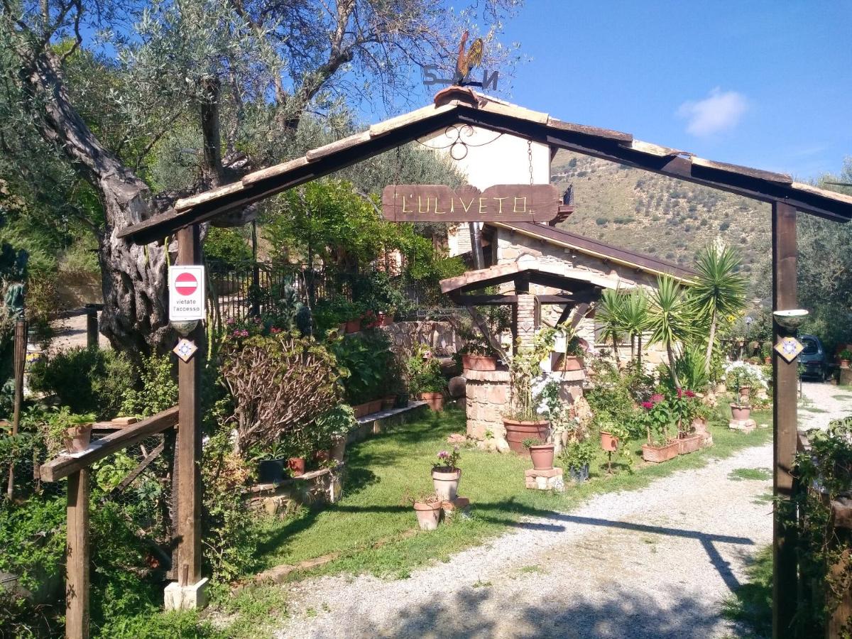 One bedroom appartement with sea view shared pool and furnished terrace at Reitano 5 km away from the beach