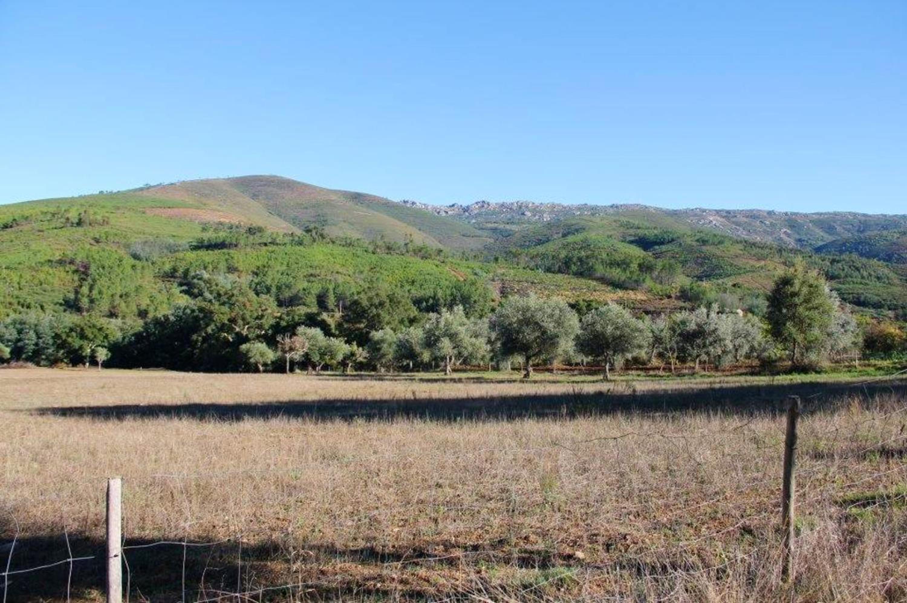 Welcoming house in Souto da Casa - 50 m² with enclosed garden view 2
