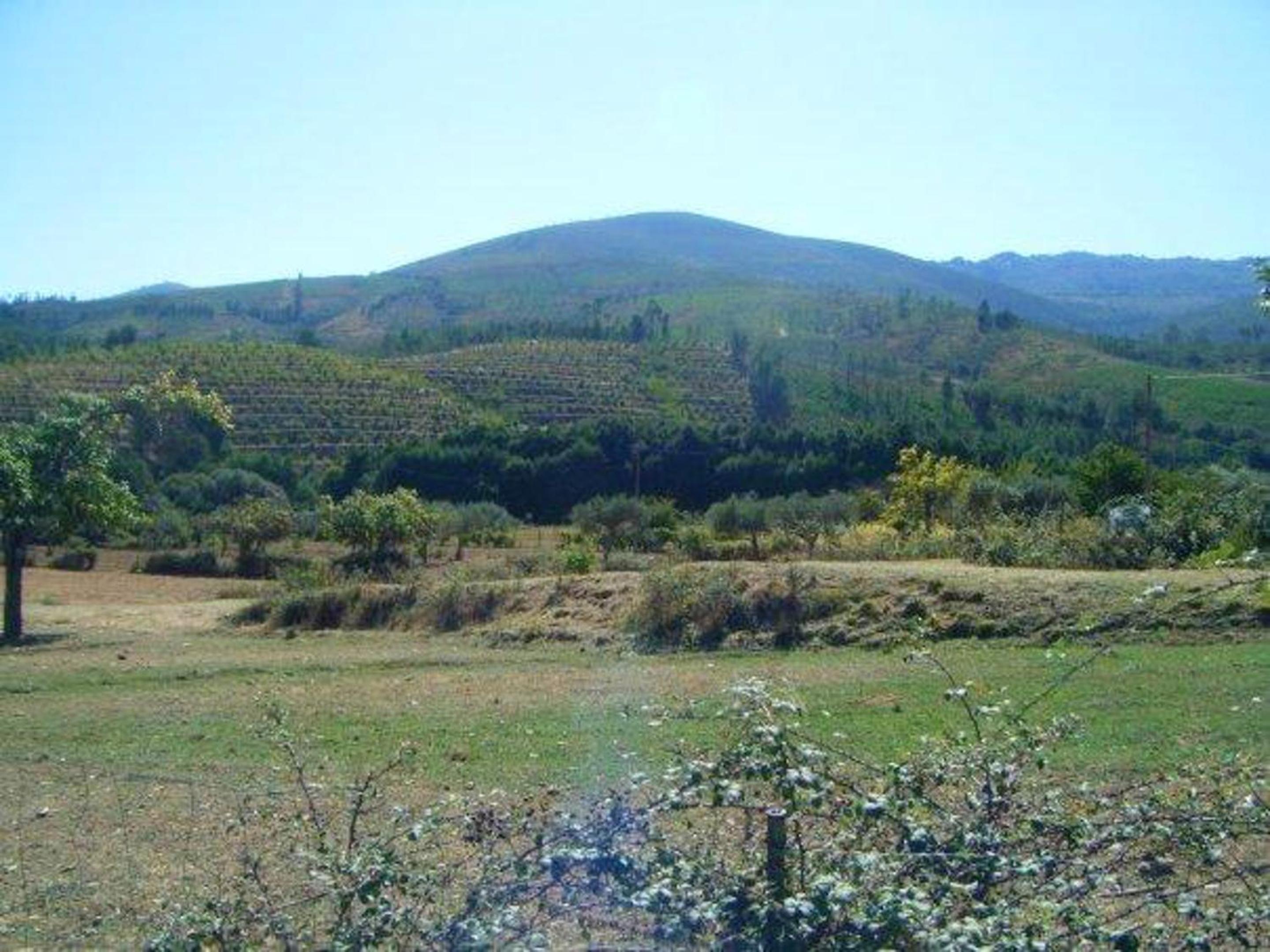 Welcoming house in Souto da Casa - 50 m² with enclosed garden view 4