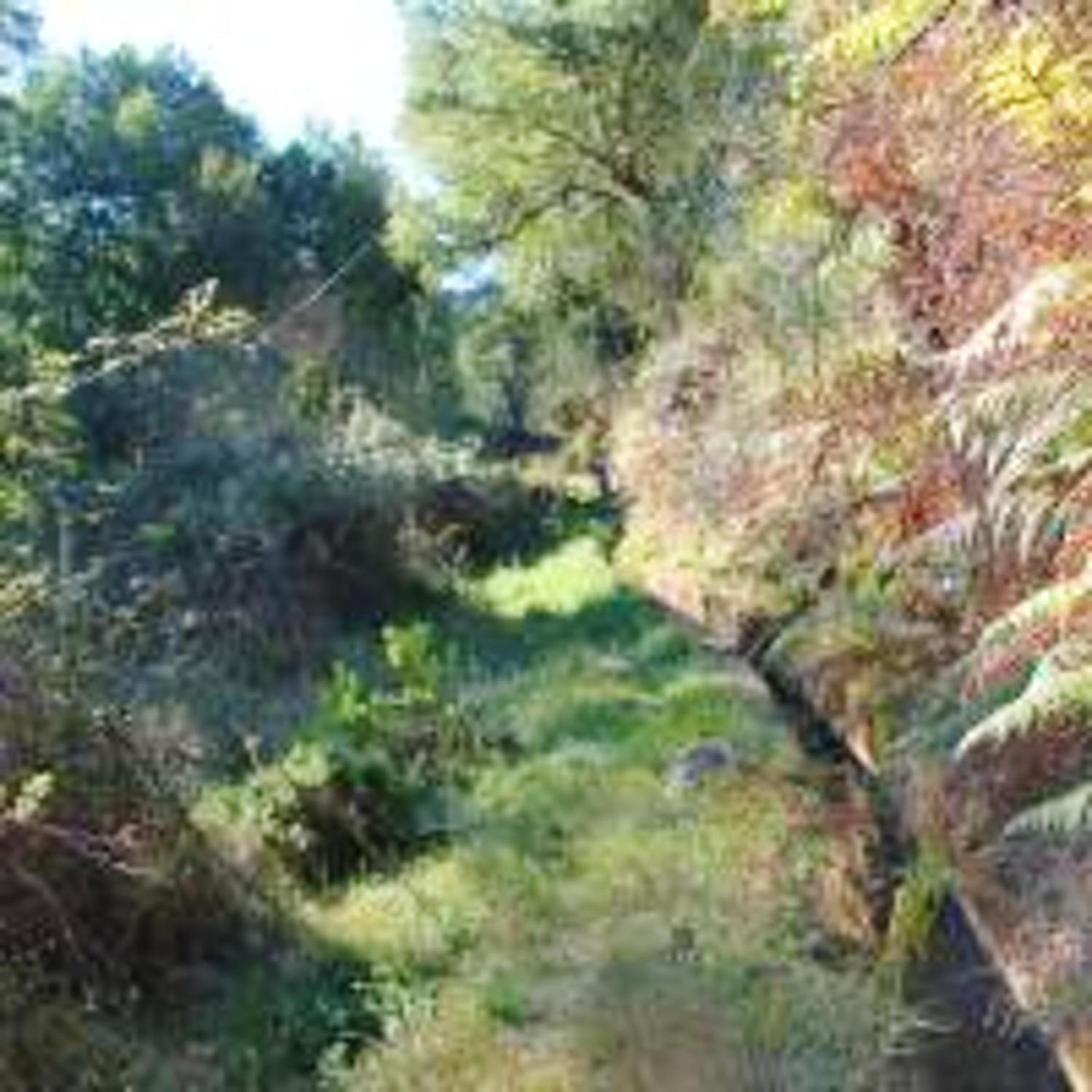 Welcoming house in Souto da Casa - 50 m² with enclosed garden view 5
