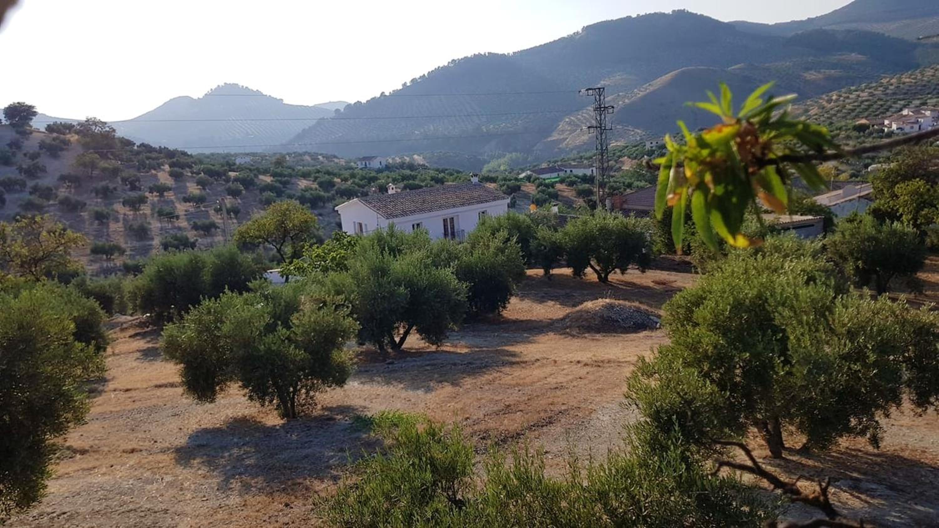 Elegant House with Pool in Alcaudete