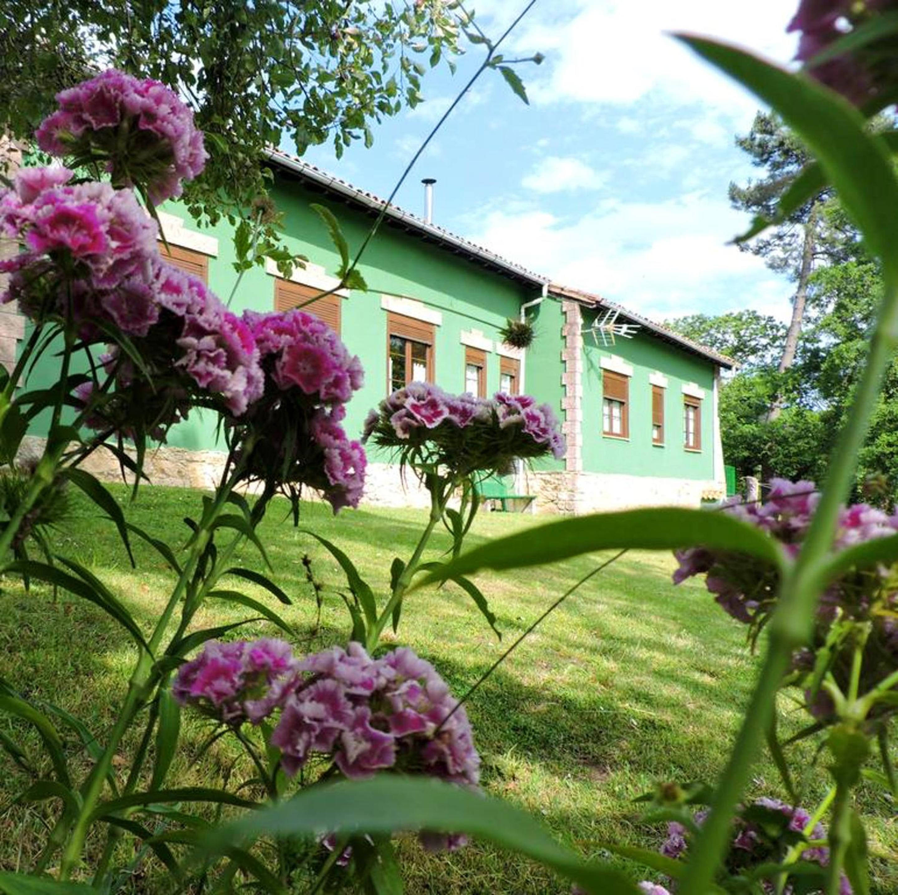 Spacious house with mountain view in Premio