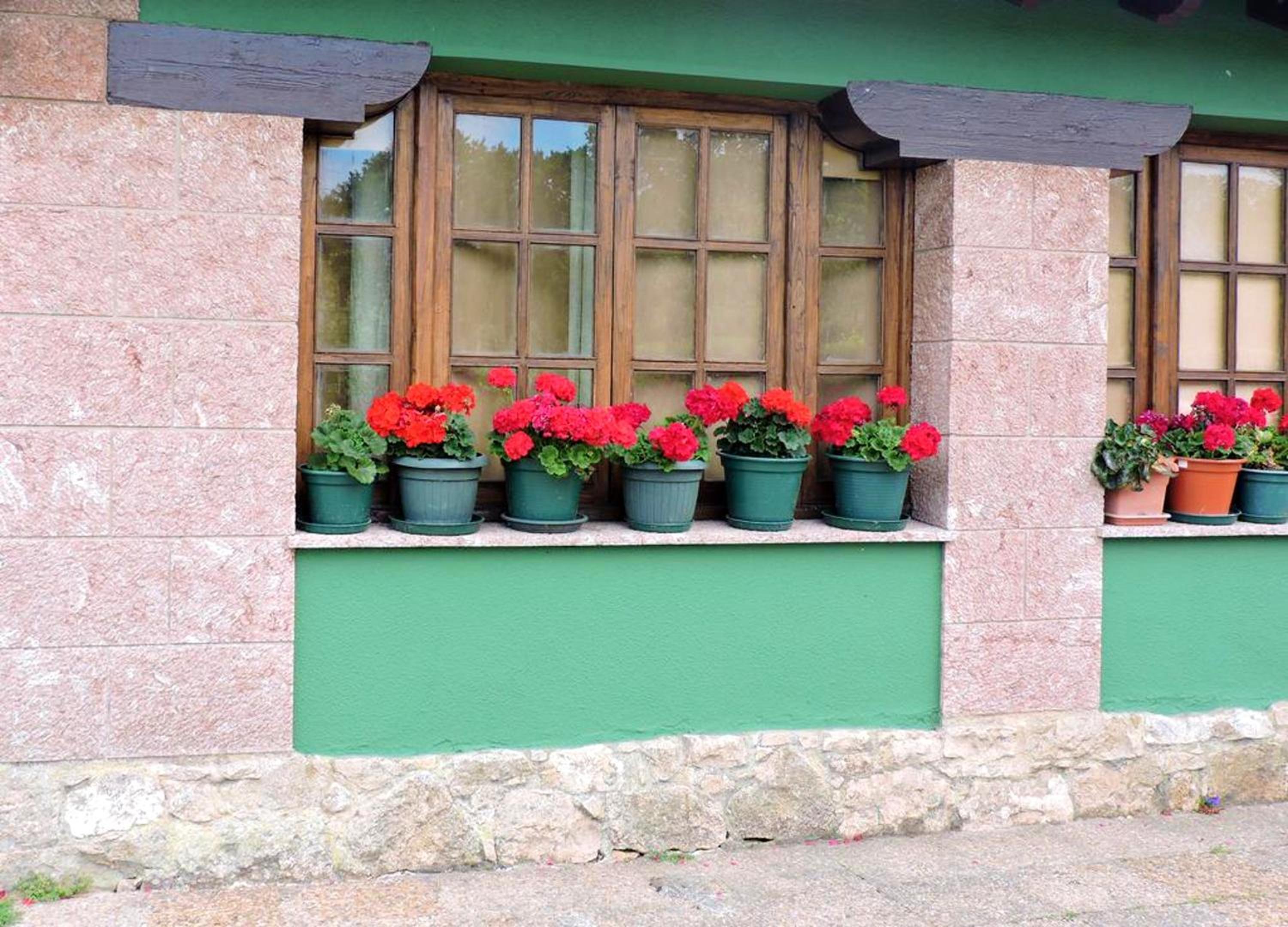 Spacious house with mountain view in Premio