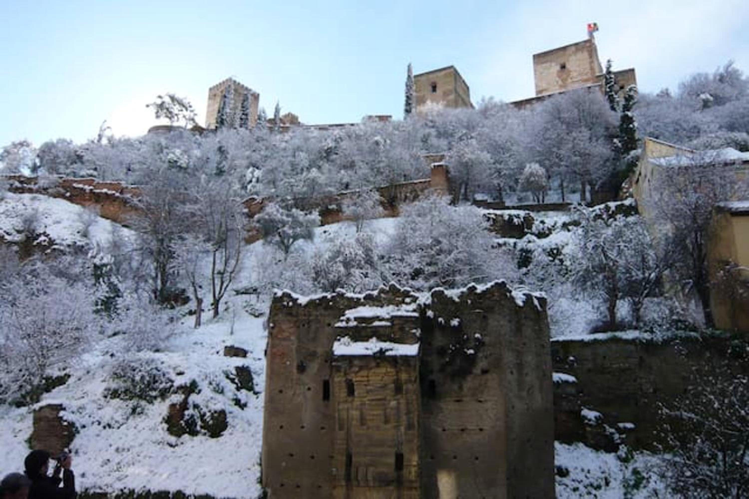 Photo 10