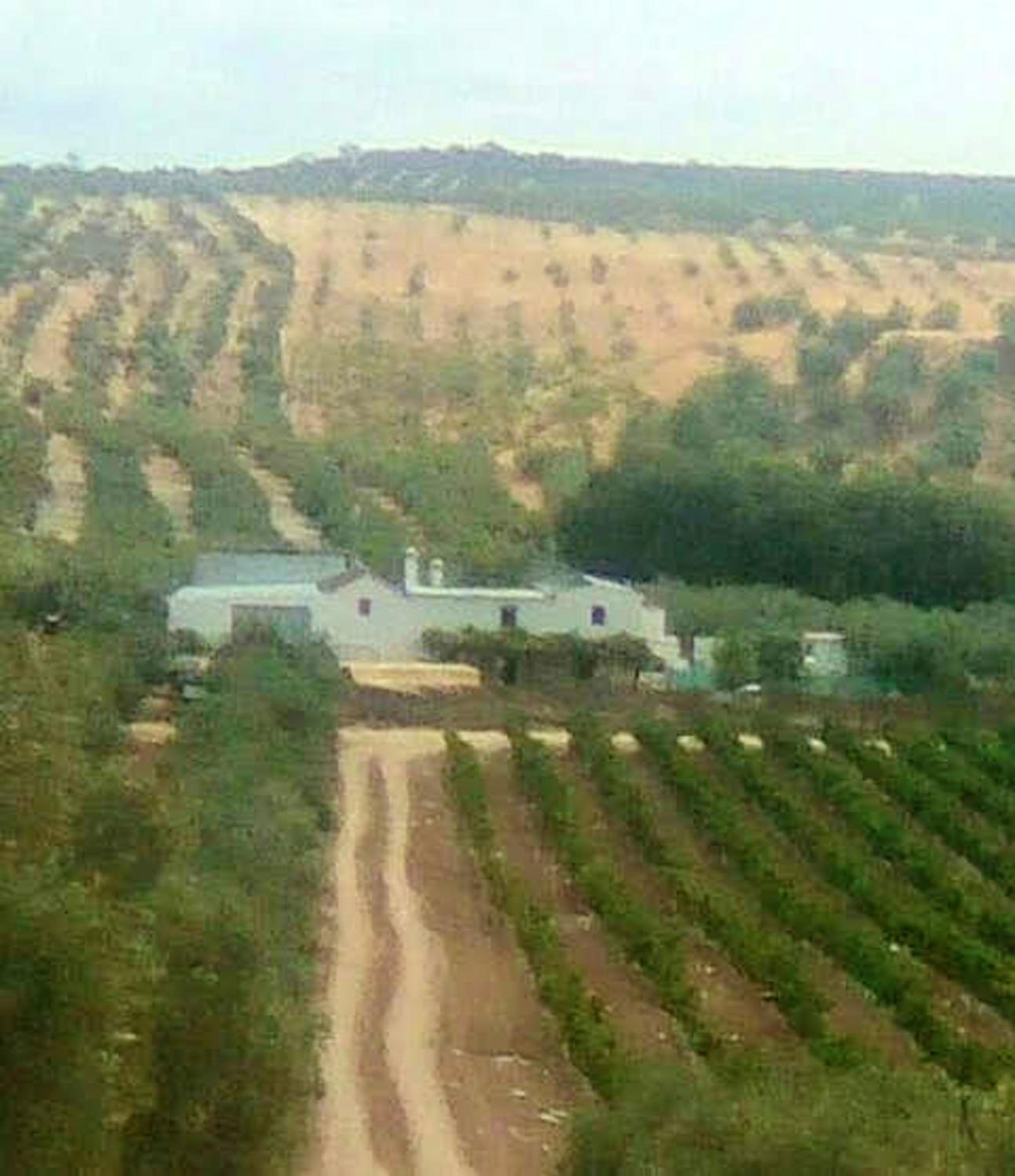 Charming House with Pool in Montilla