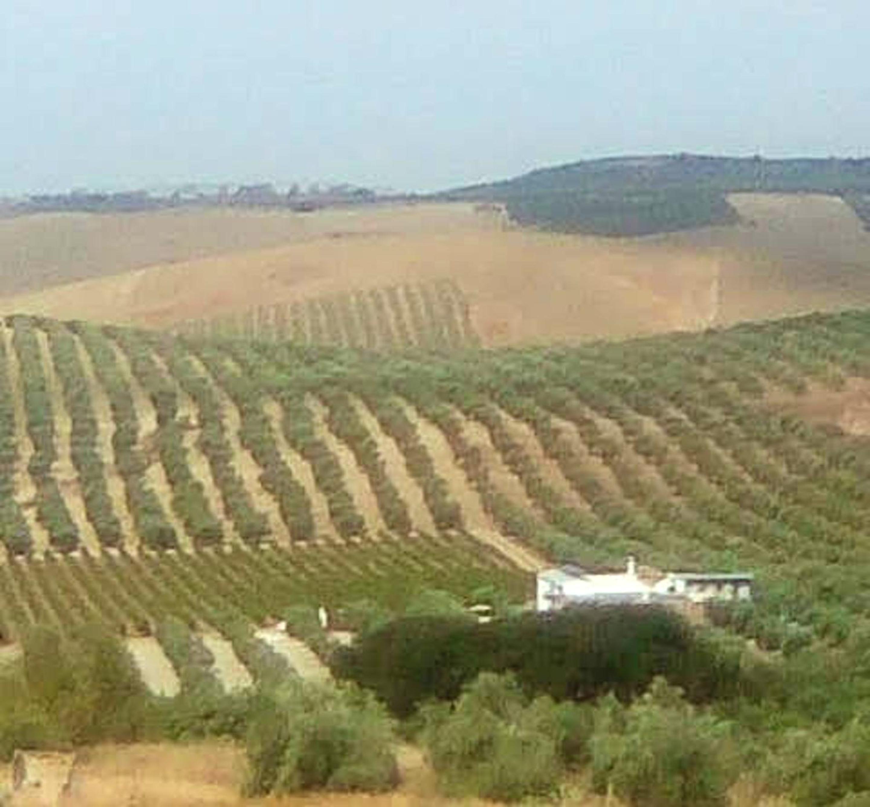 Charming House with Pool in Montilla