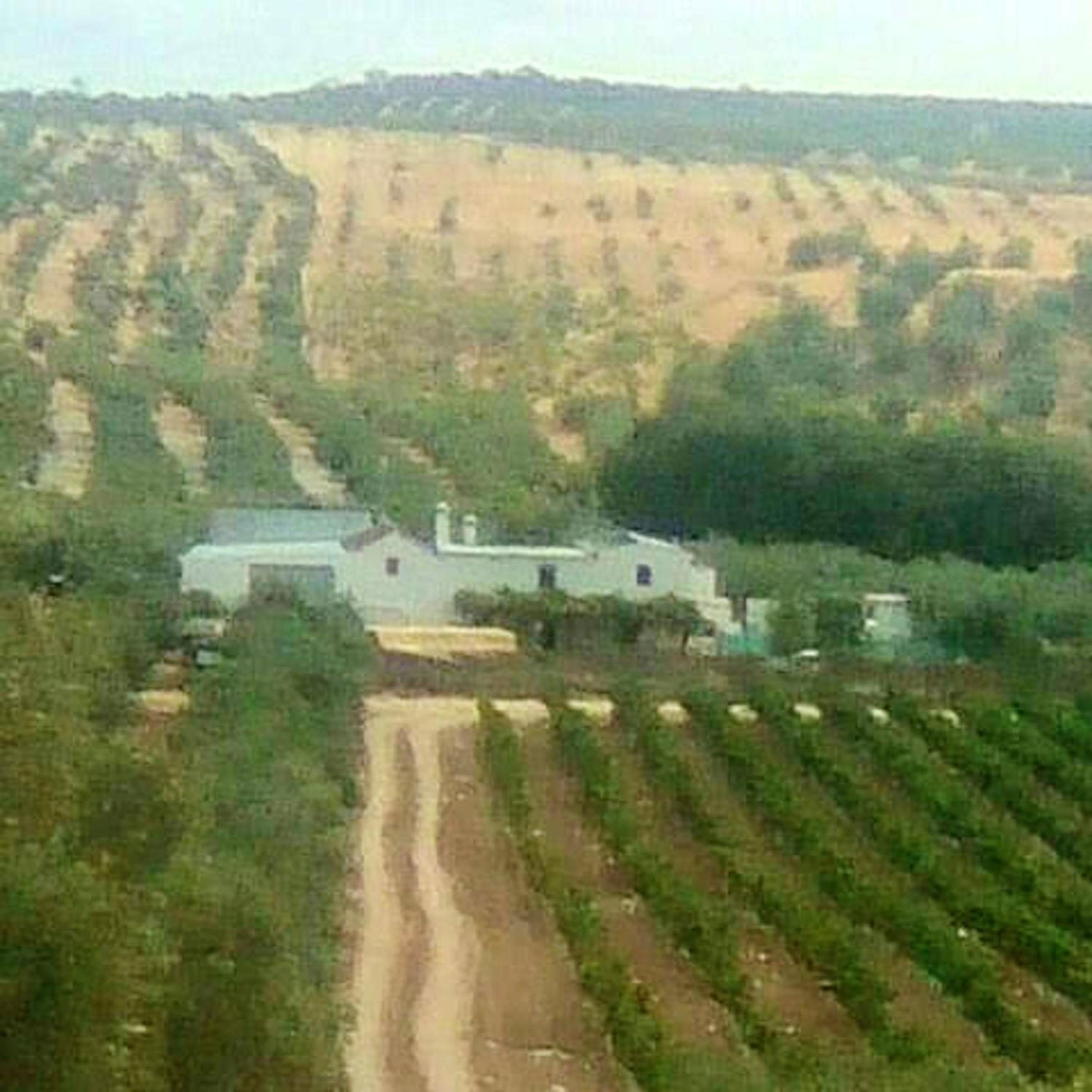 Charming House with Pool in Montilla