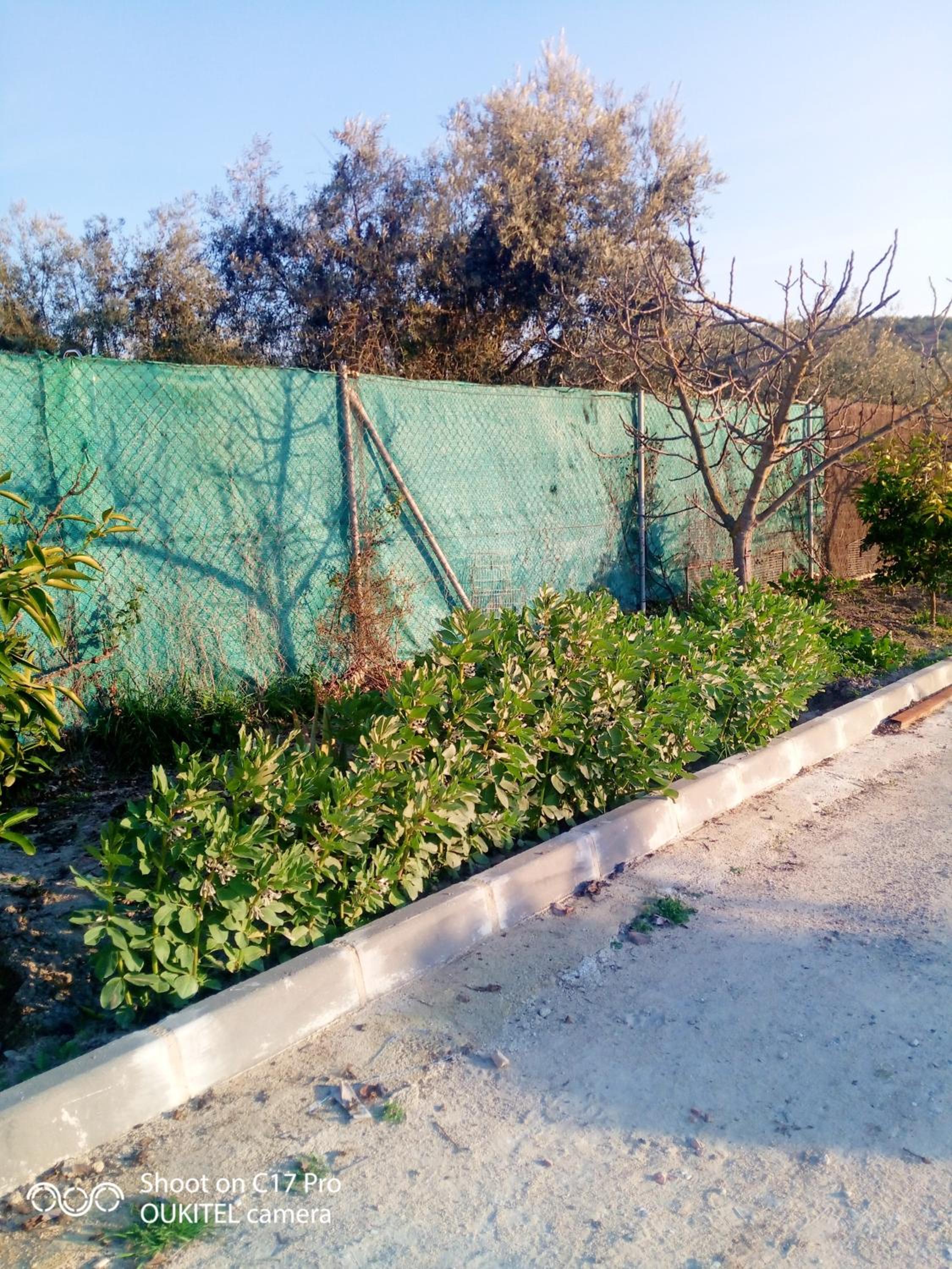 Charming House with Pool in Montilla