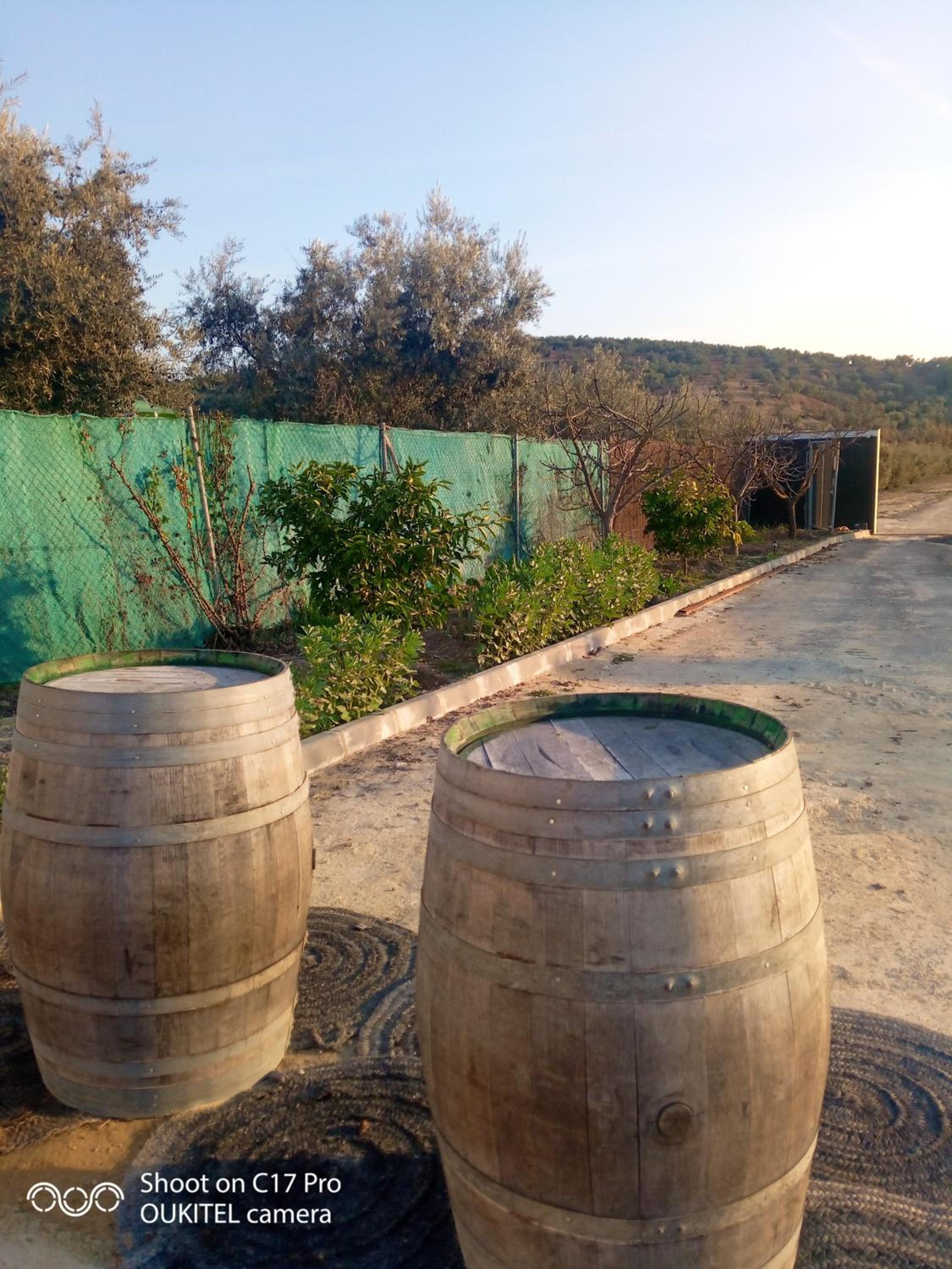 Charming House with Pool in Montilla