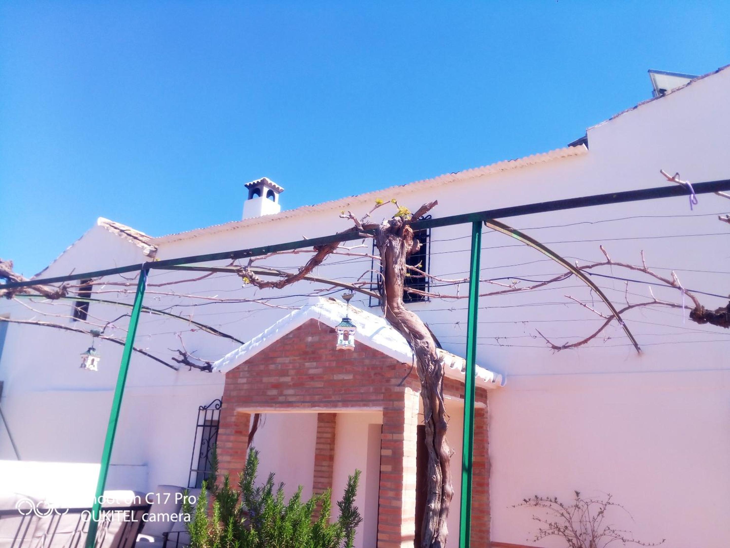 Charming House with Pool in Montilla