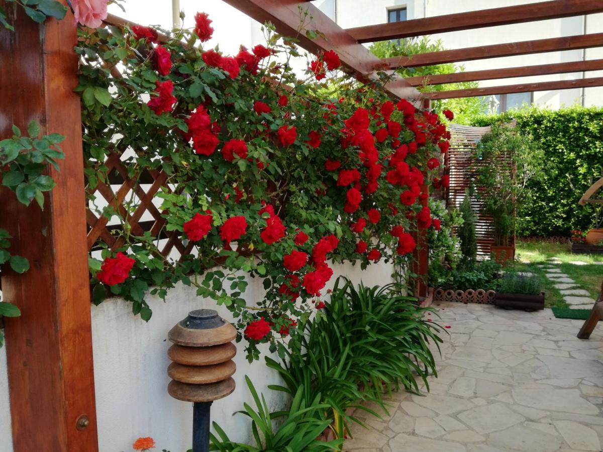 3 bedrooms house at Ragusa 600 m away from the beach with furnished balcony and wifi