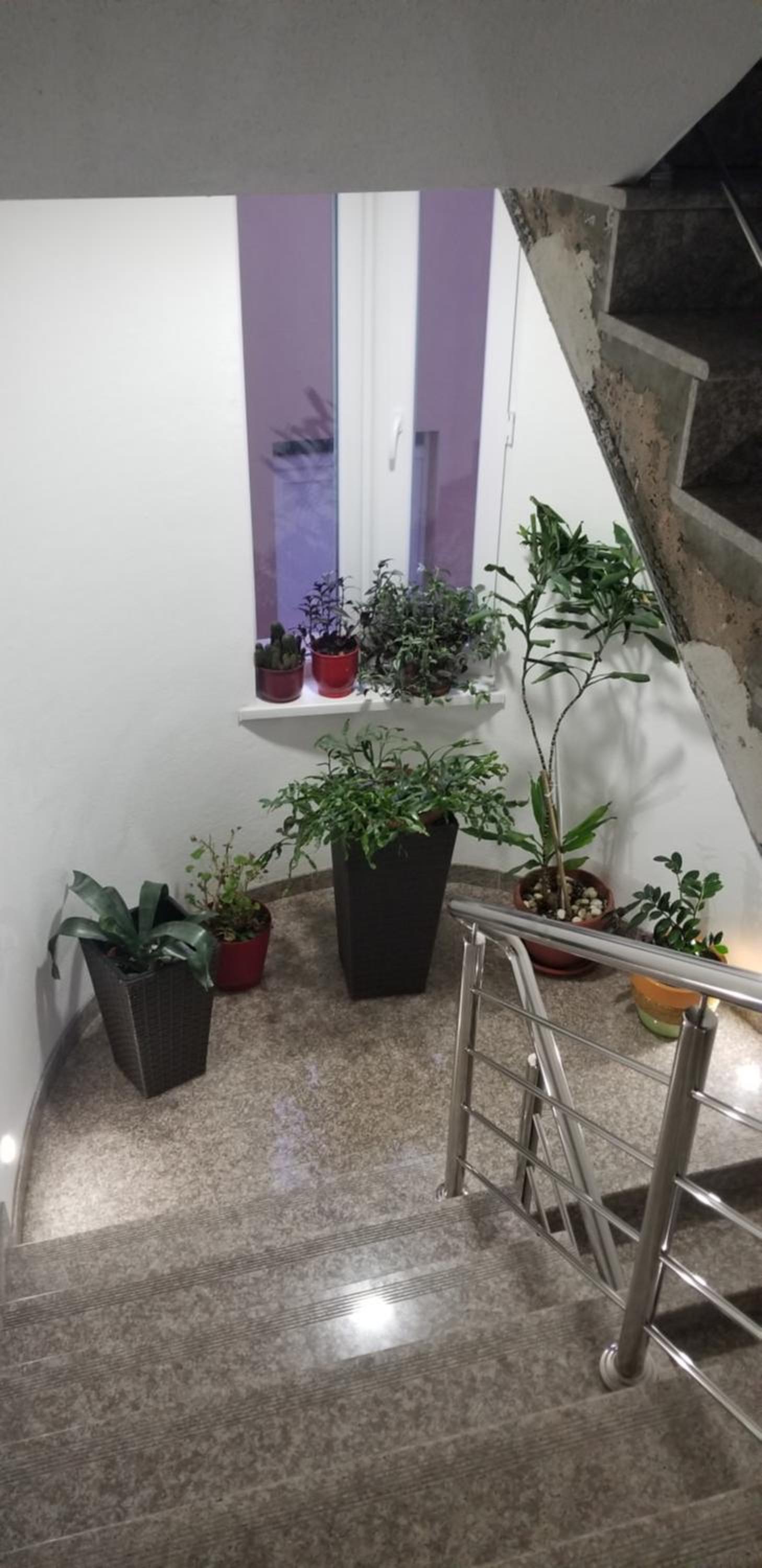Apartmani Kadunić