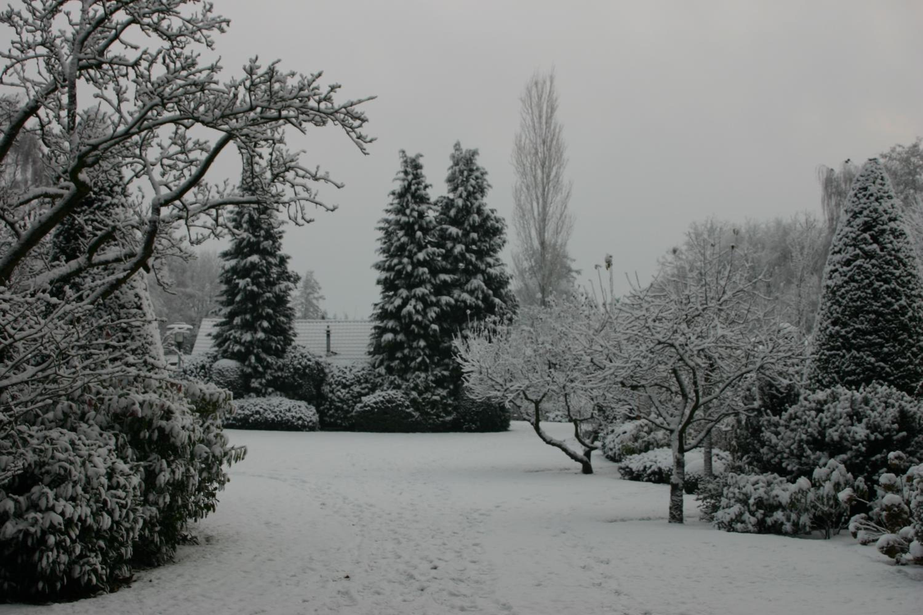 Photo 42