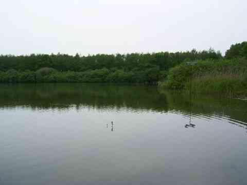 Photo 45