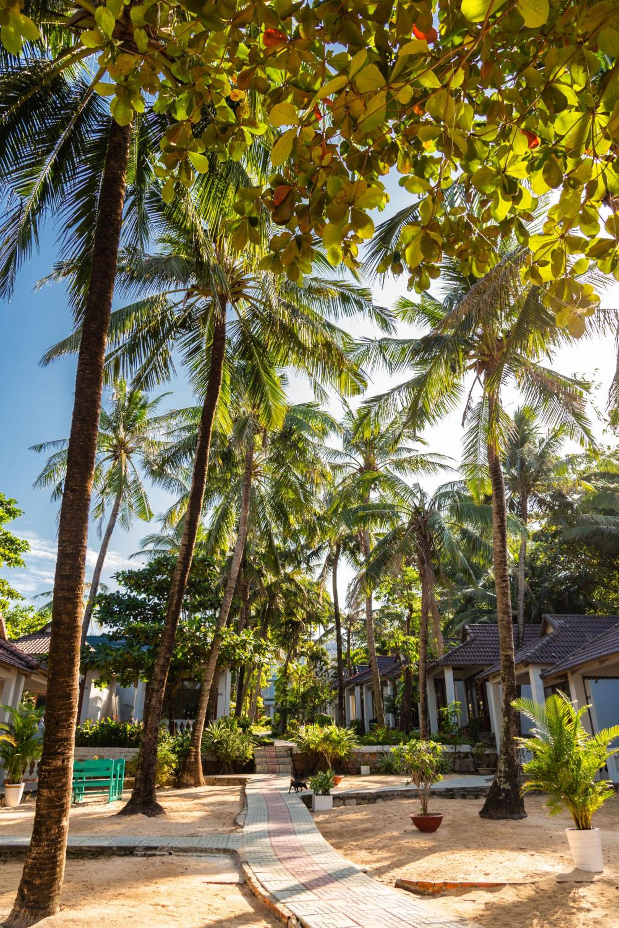Nhat Lan Resort
