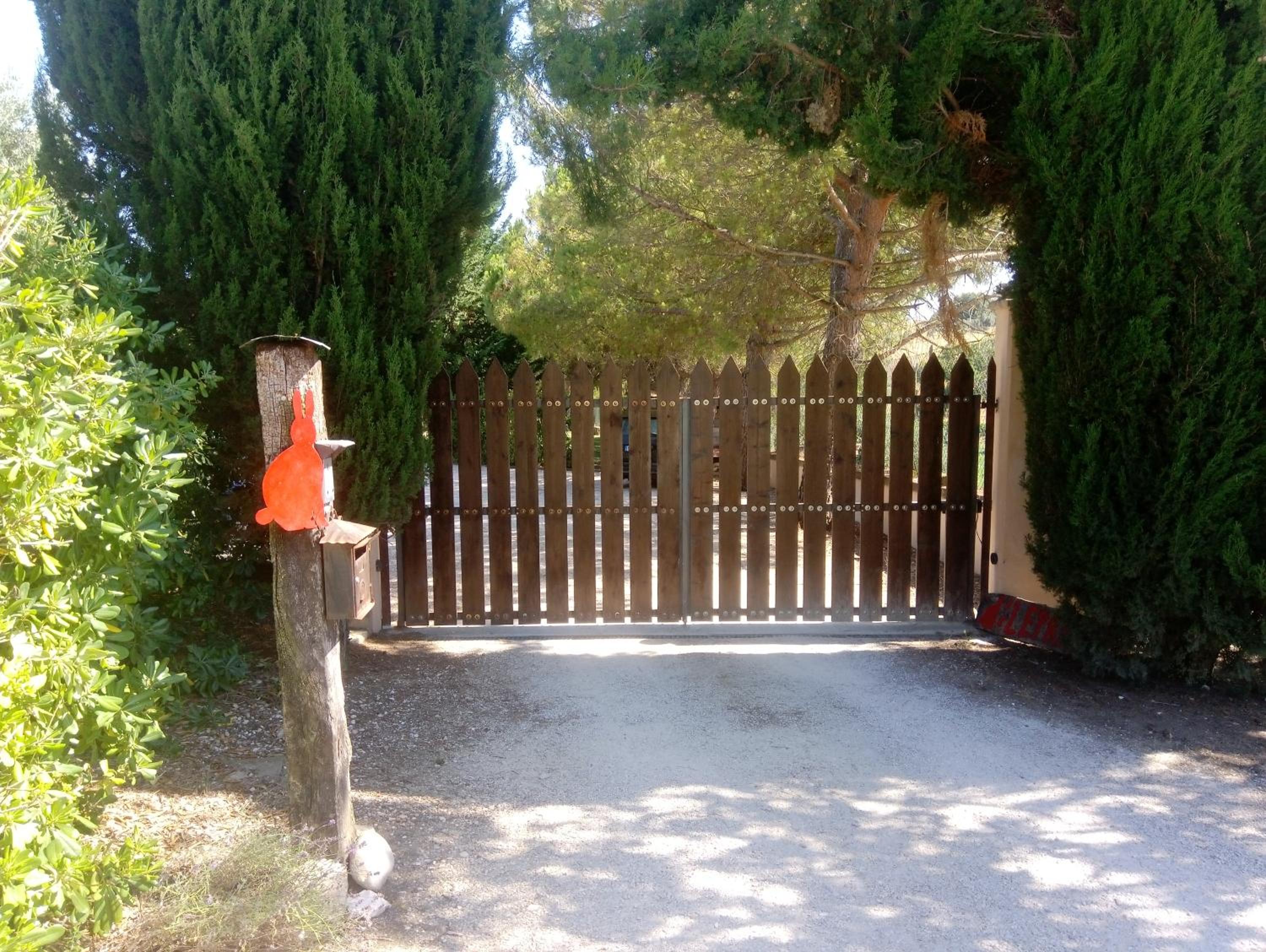 Photo 8