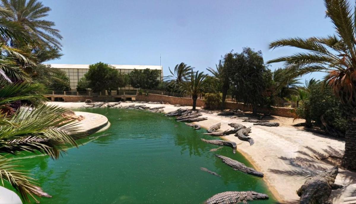 3 bedrooms house at Djerba Midoun 800 m away from the beach with terrace and wifi