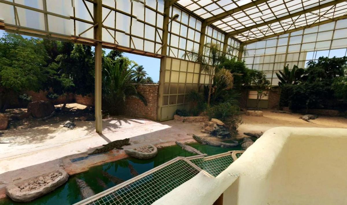 3 bedrooms house at Djerba Midoun 800 m away from the beach with terrace and wifi