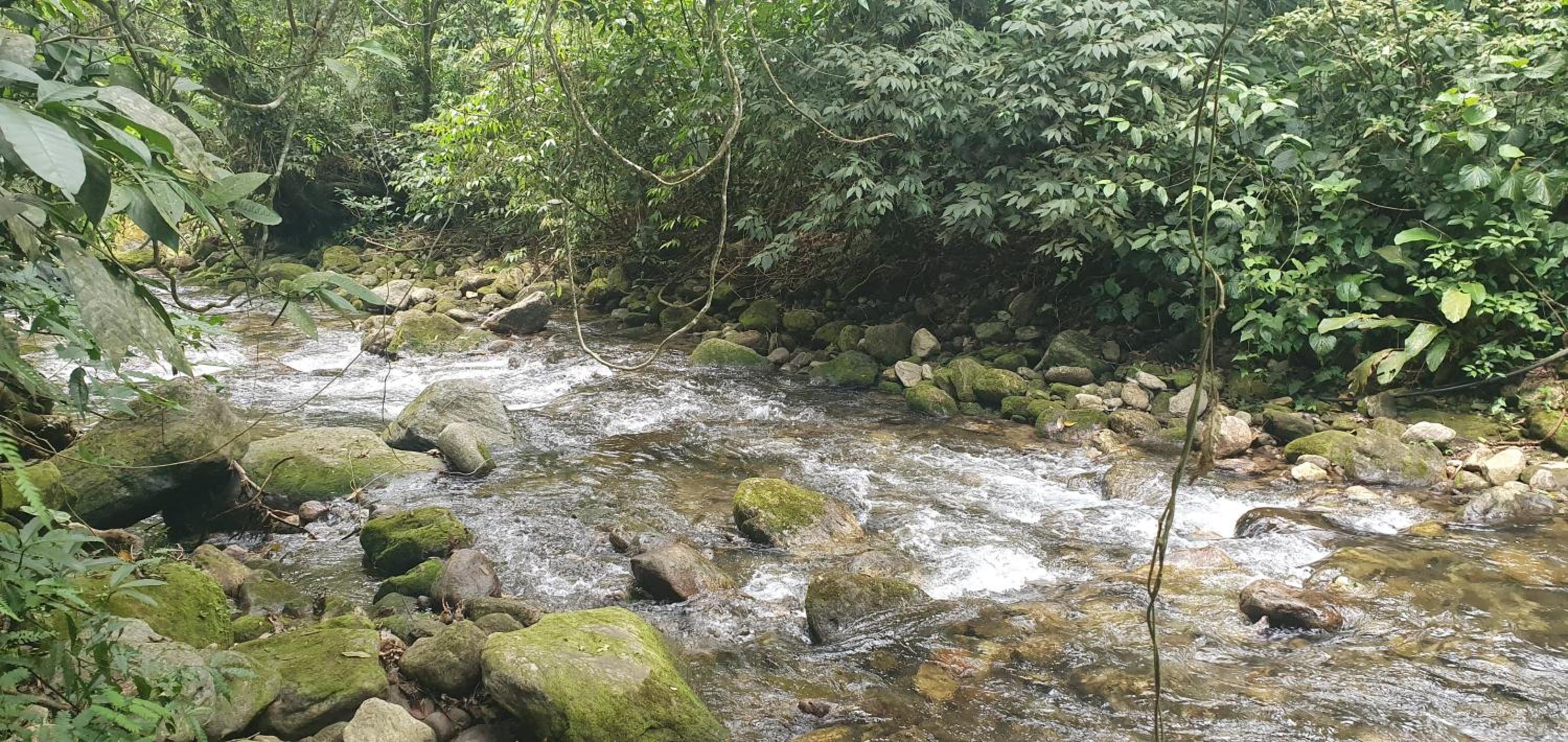 Casa da Josie em Maresias com piscina no pé da Mata Atlântica - 4 quartos