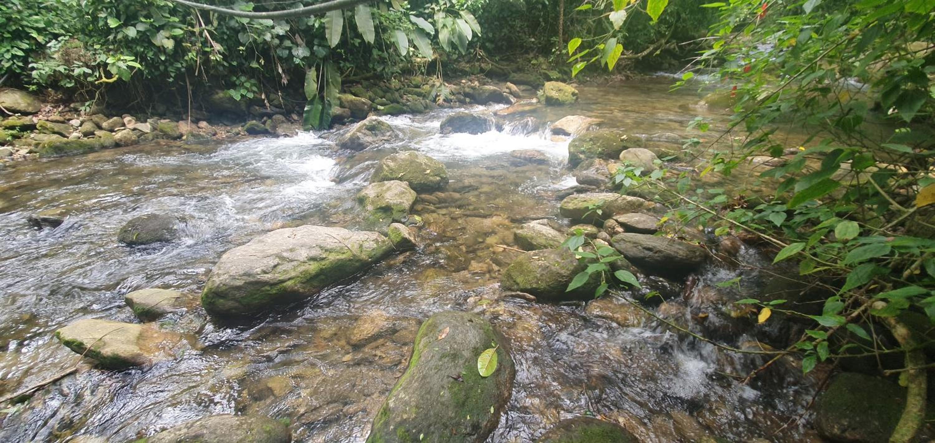 Casa da Josie em Maresias com piscina no pé da Mata Atlântica - 4 quartos