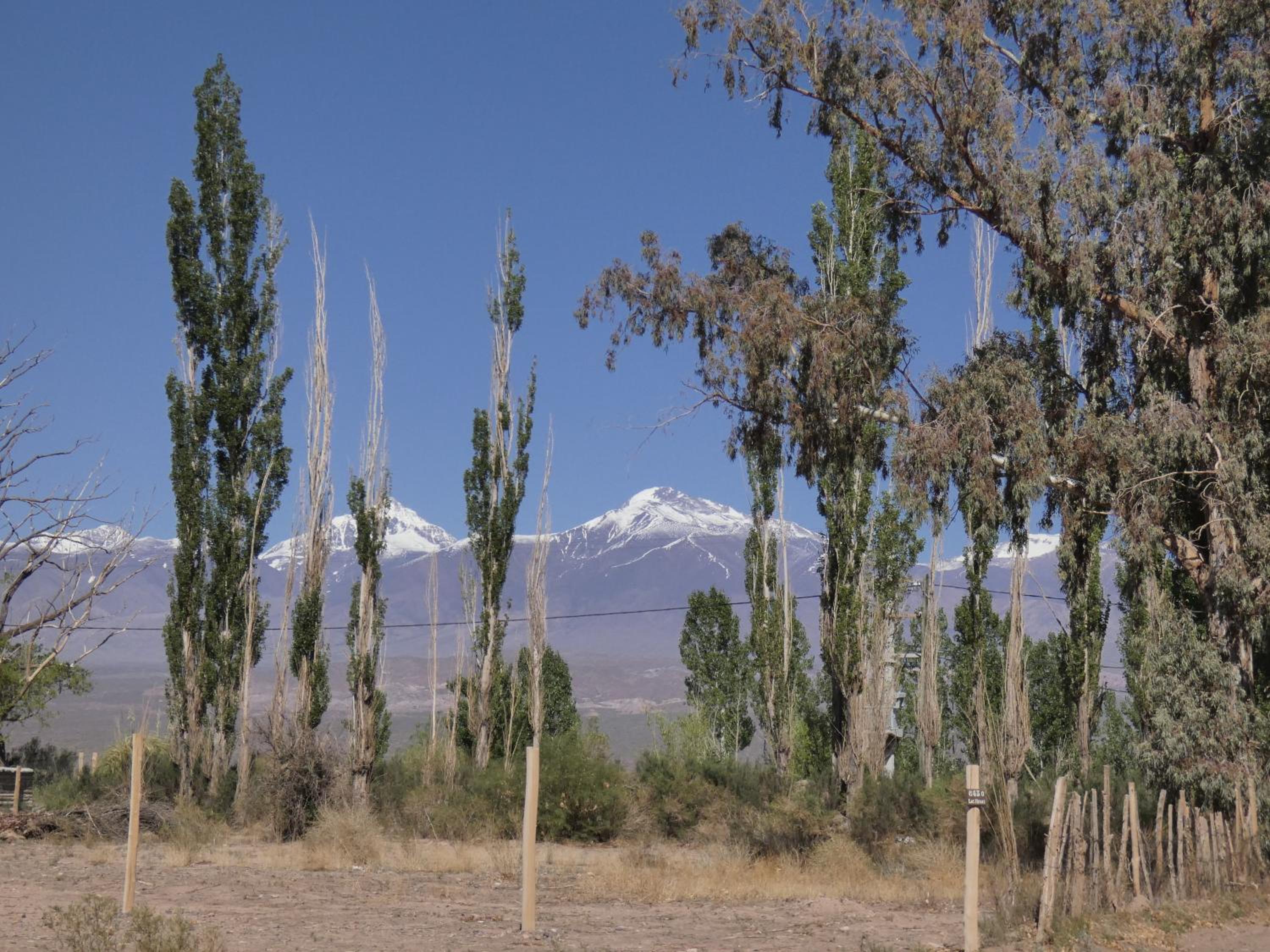 Cabañas EL AGUARIBAY