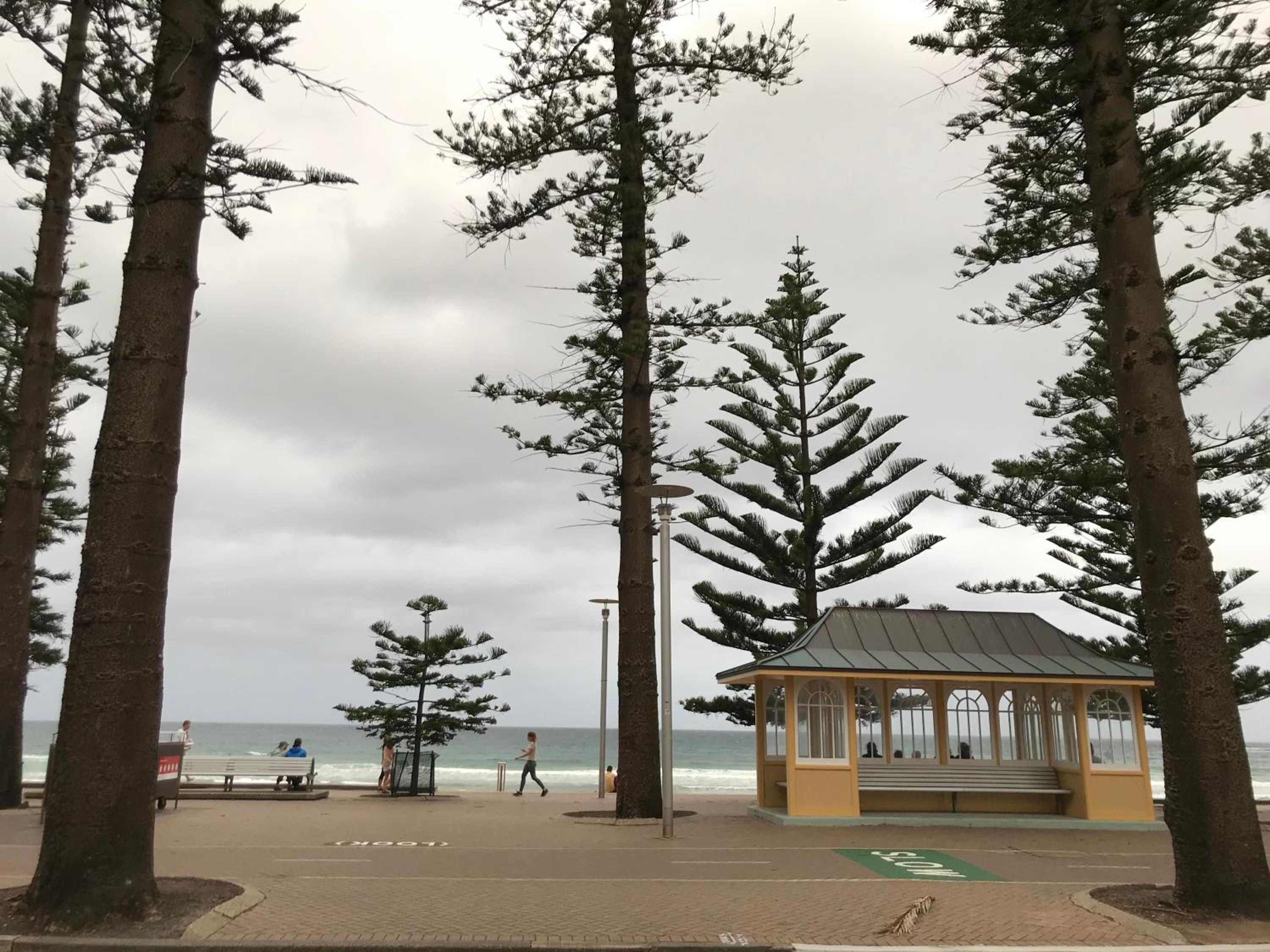 Manly Beach Stays