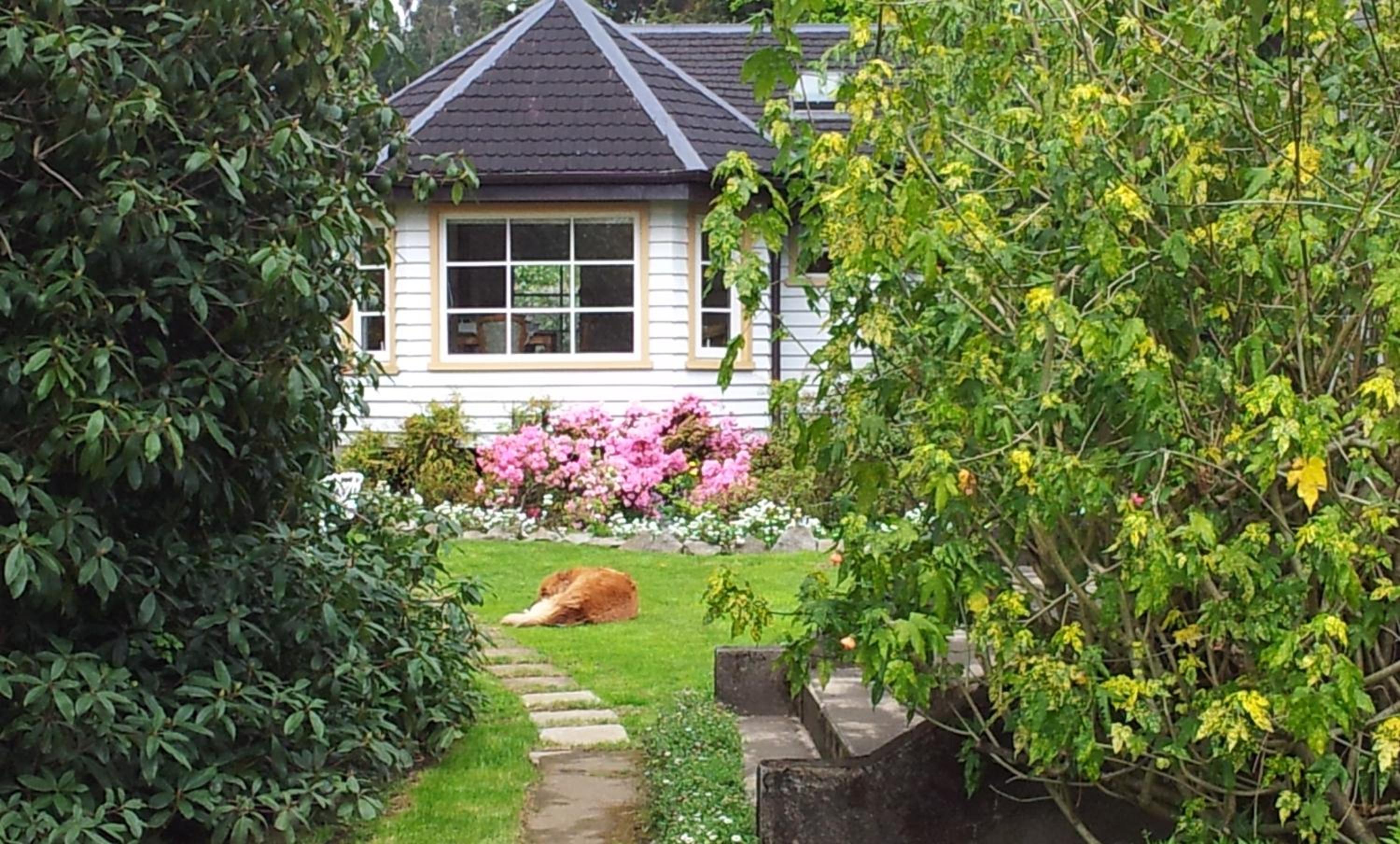 garden