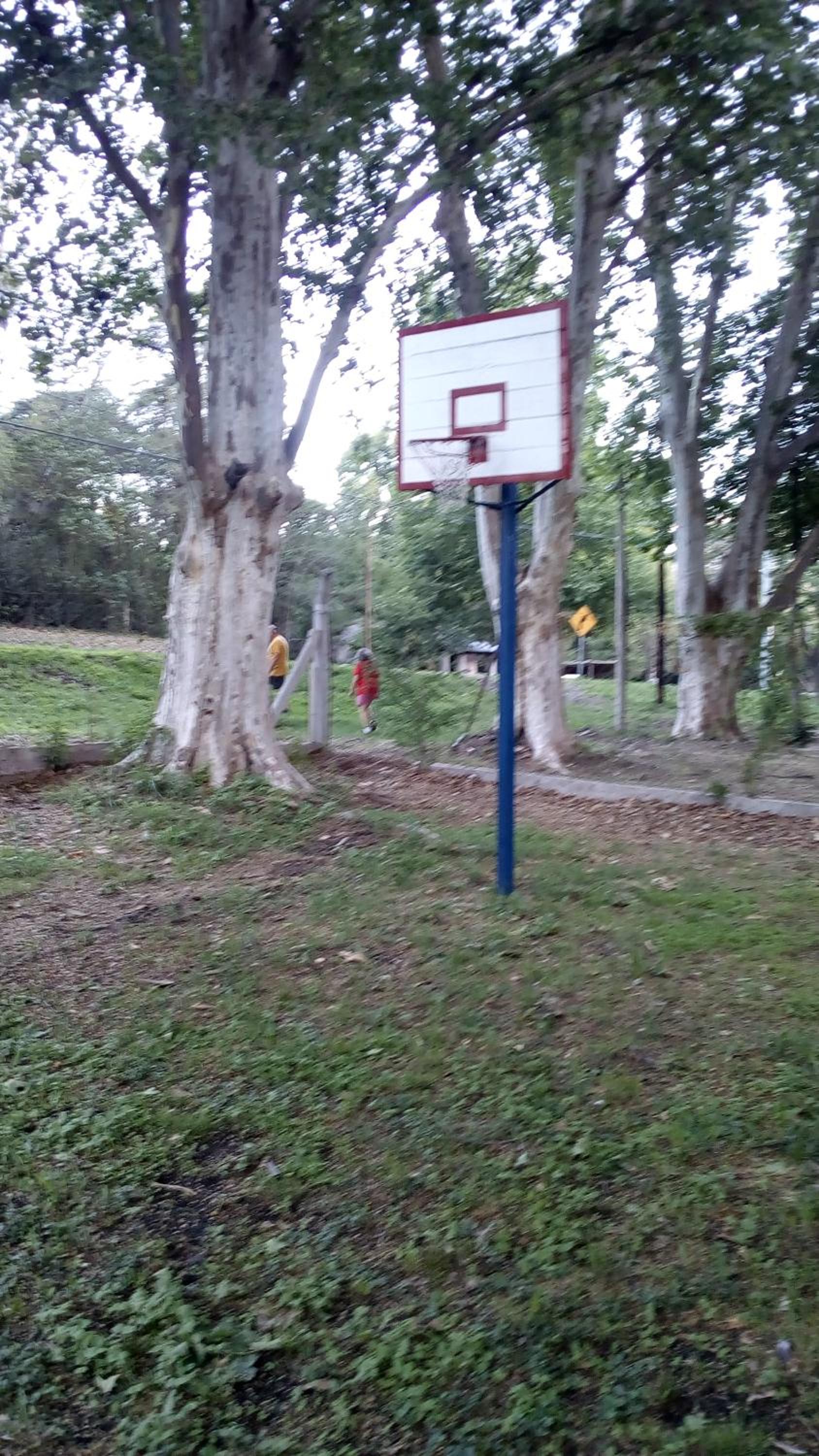 Cabañas los Plátanos