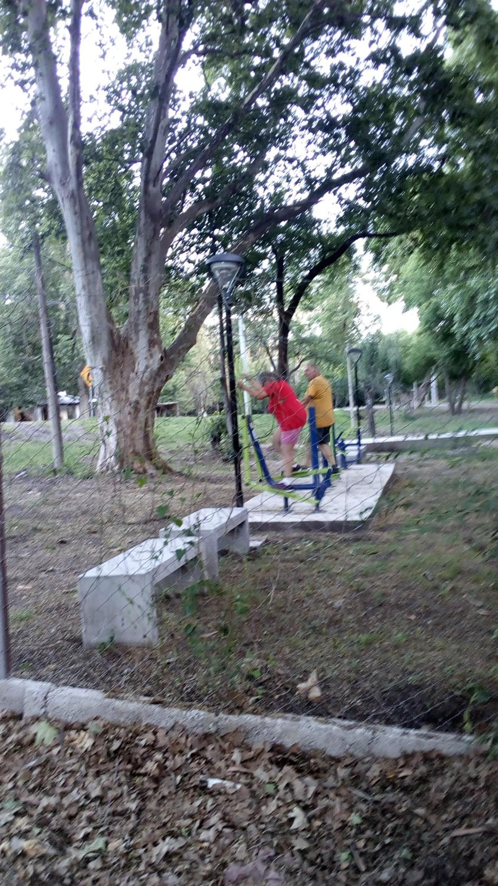 Cabañas los Plátanos