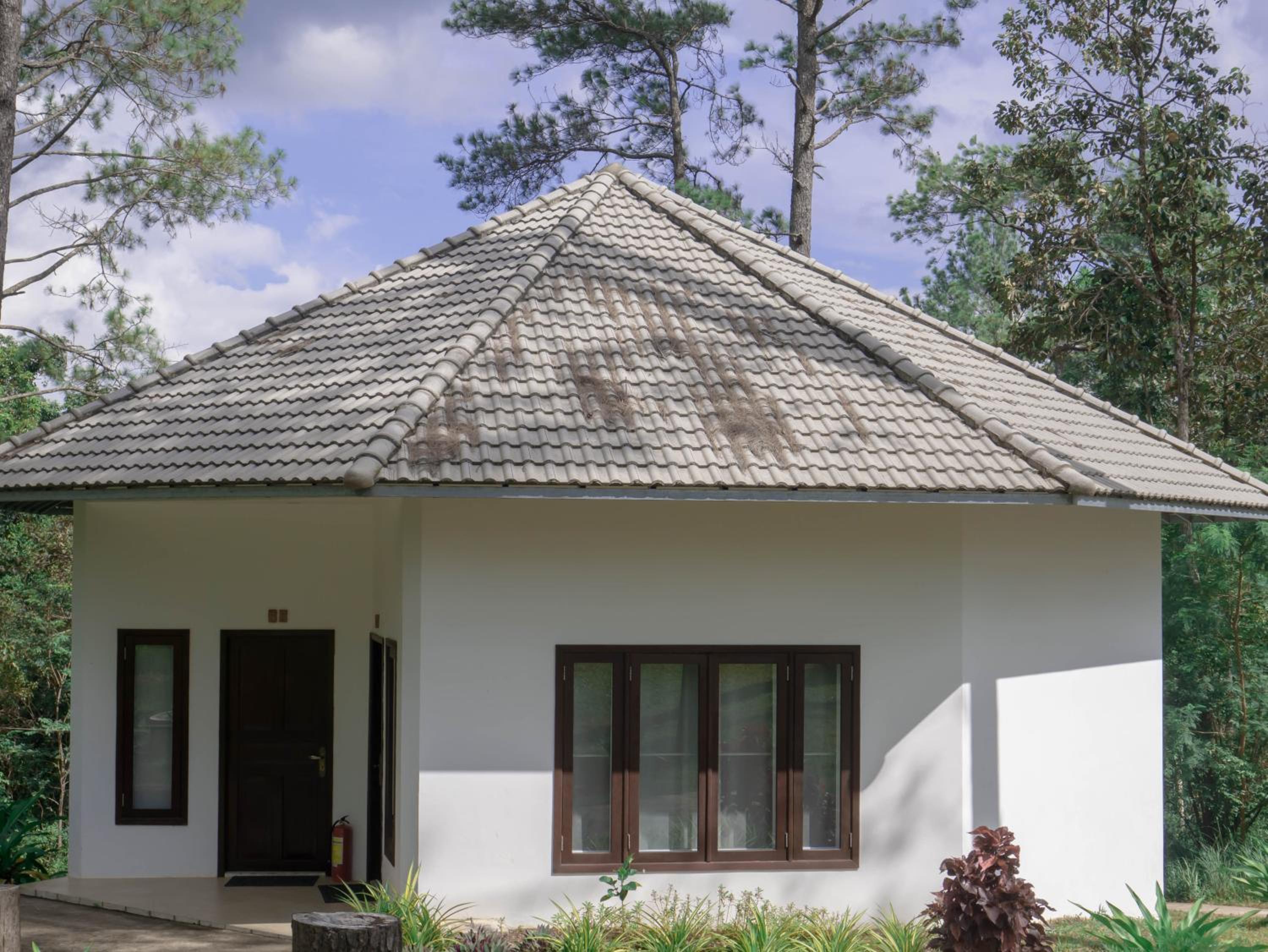 vKirirom Pine Resort