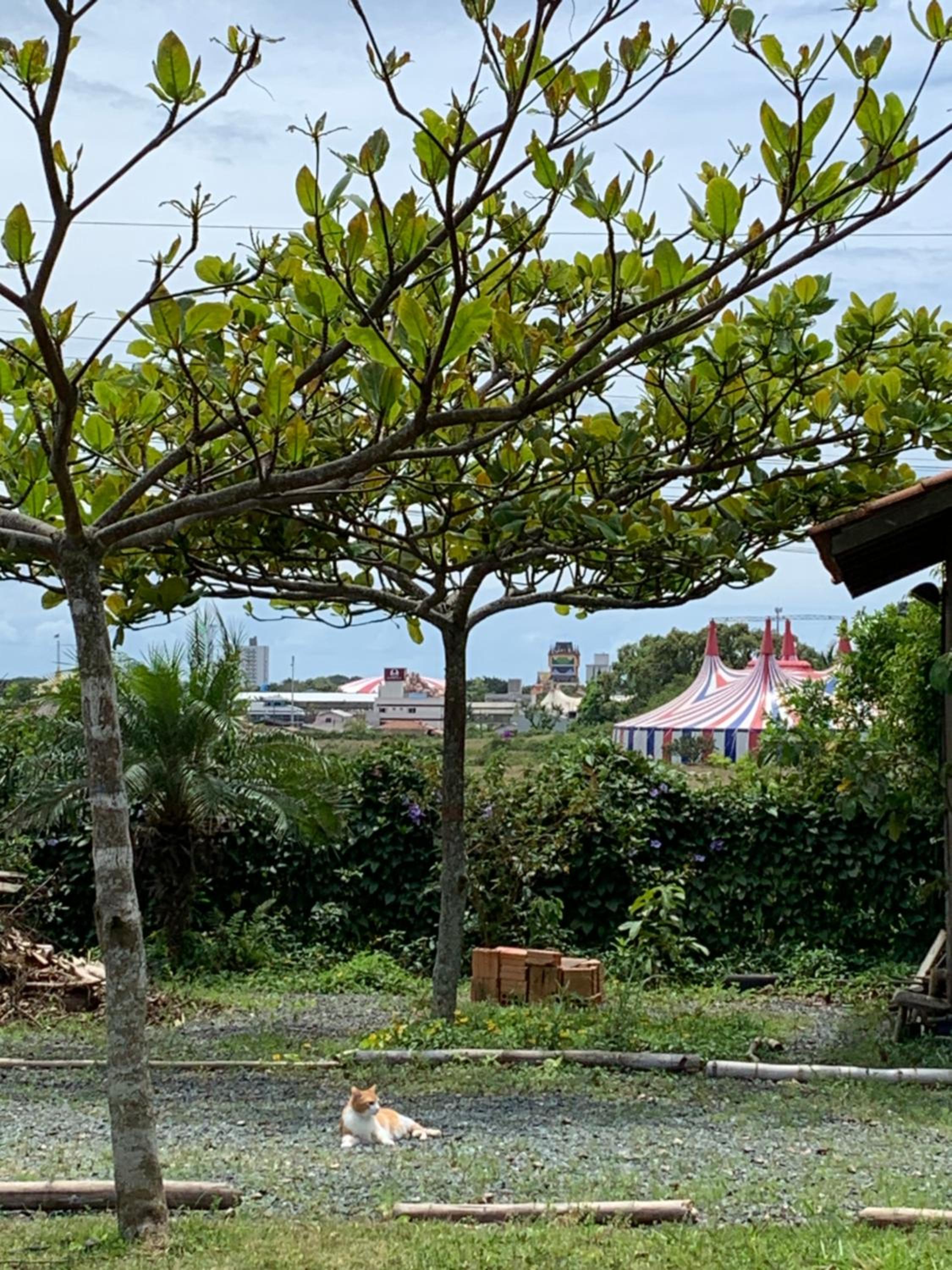 AymuraY Hostel e Pousada