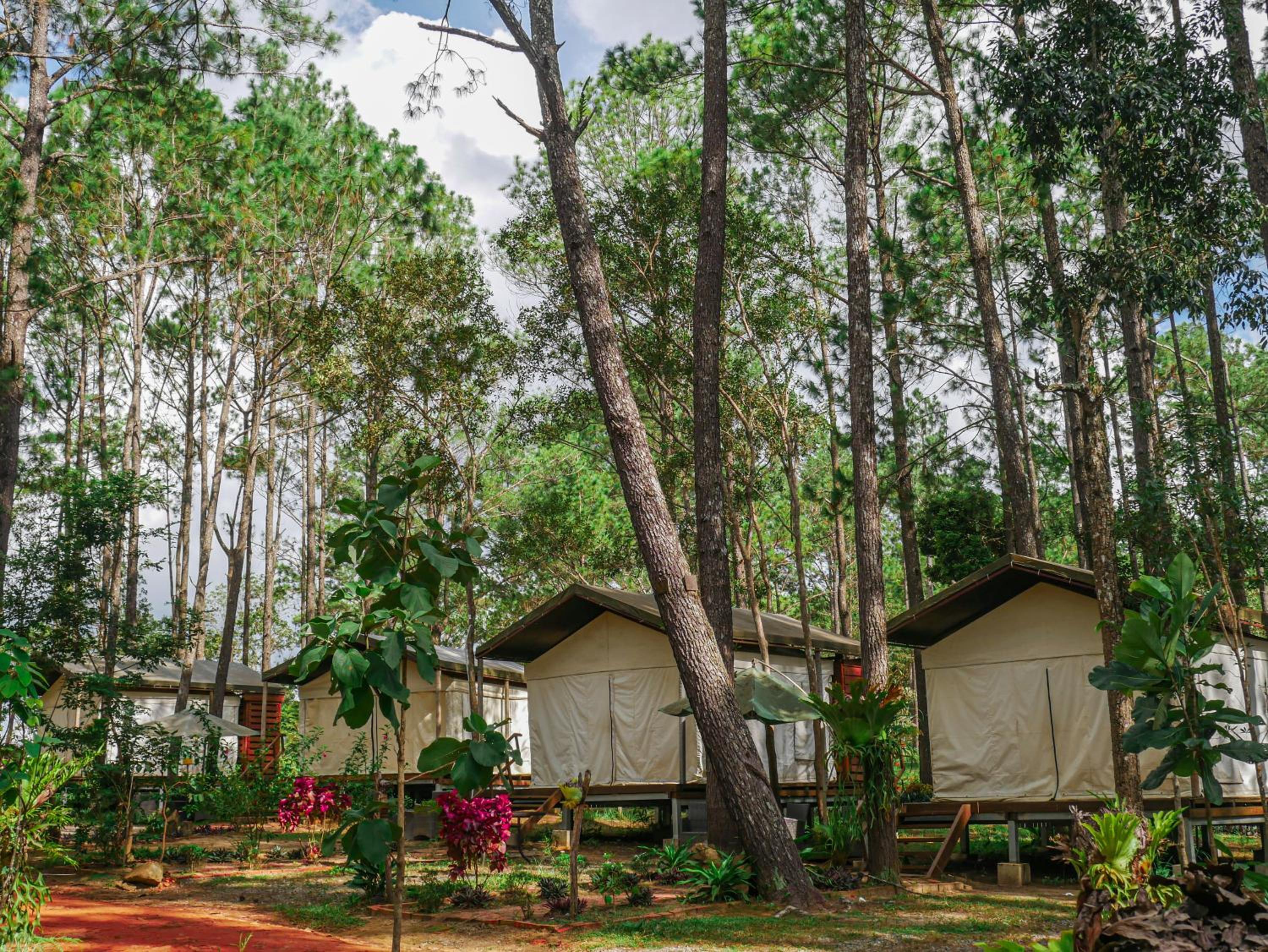 vKirirom Pine Resort