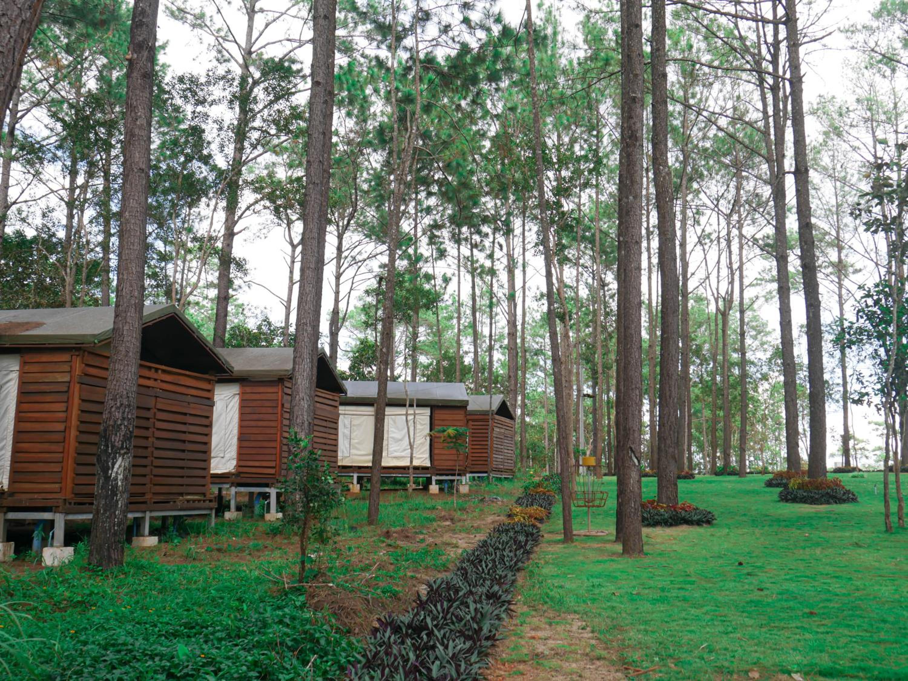 vKirirom Pine Resort