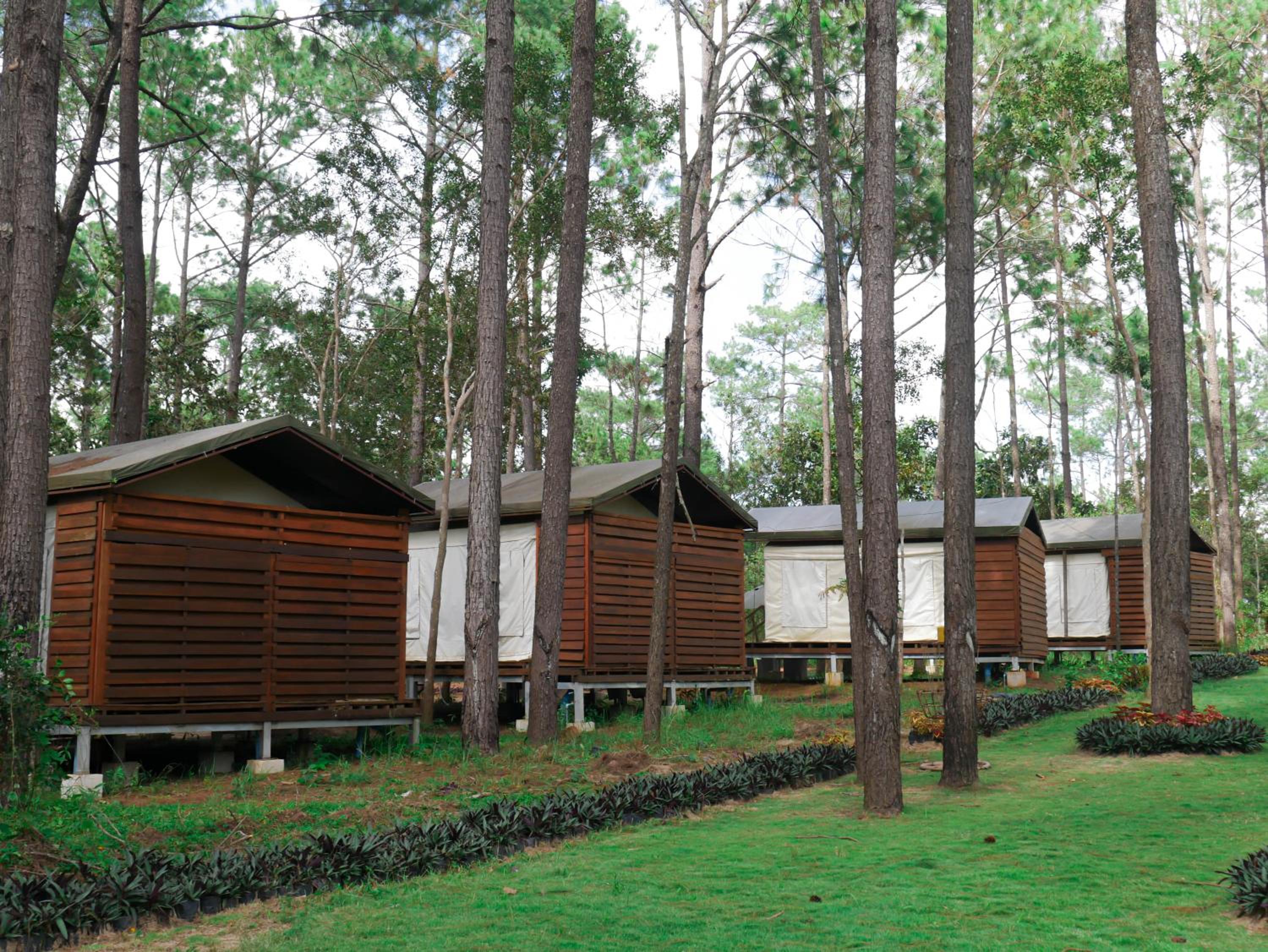 vKirirom Pine Resort