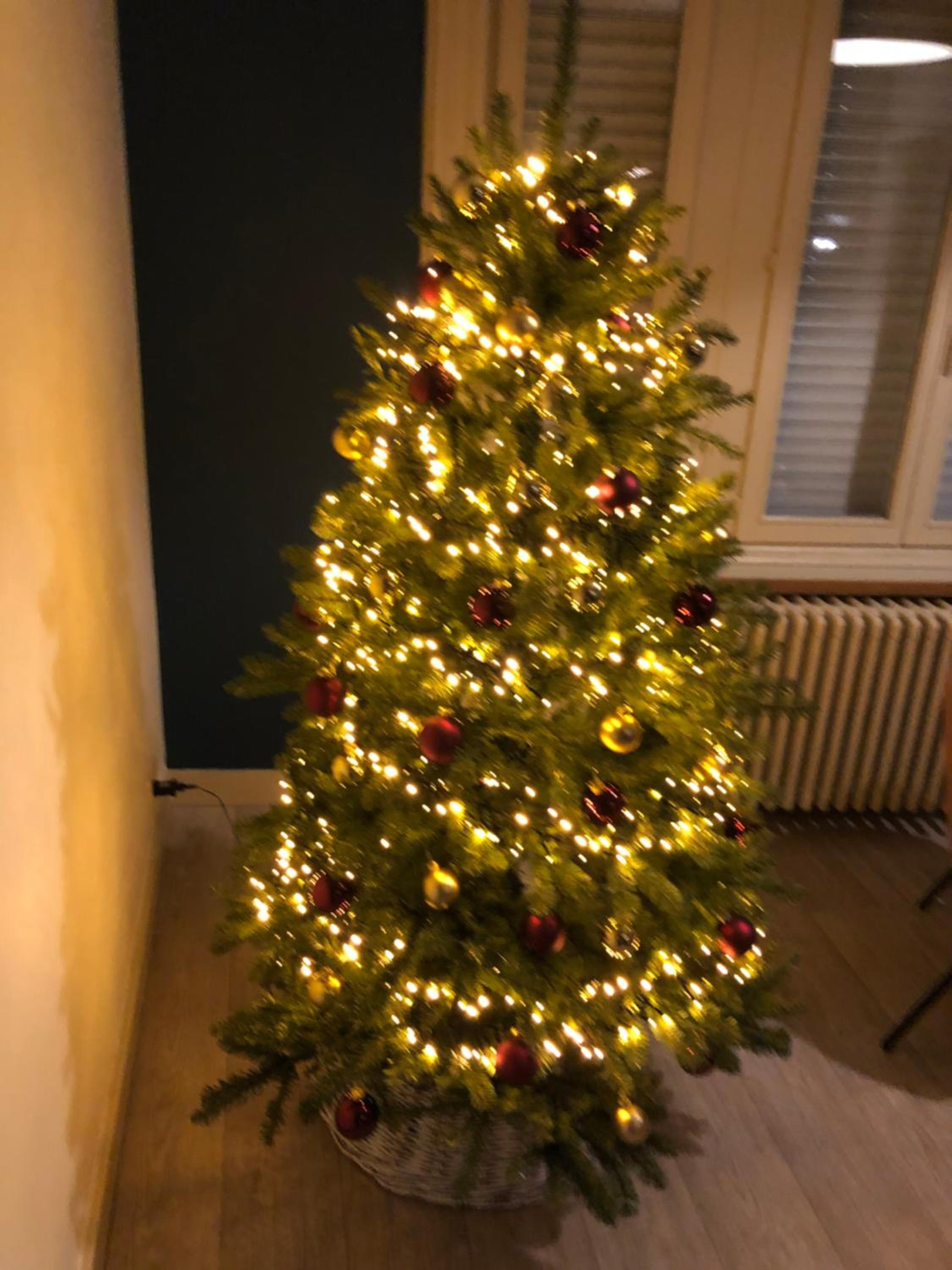Photo 28