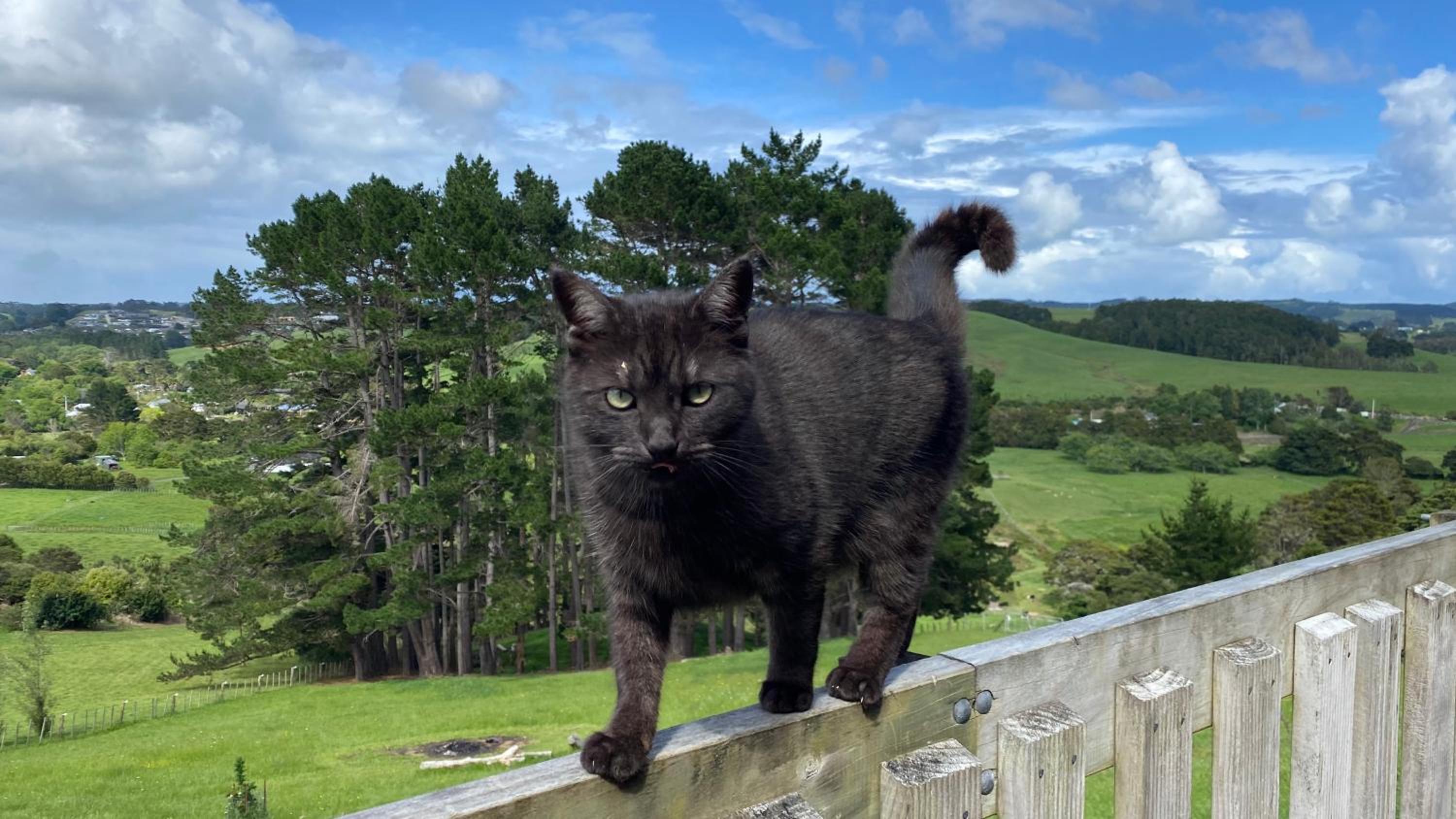Pukeatua Farmstay