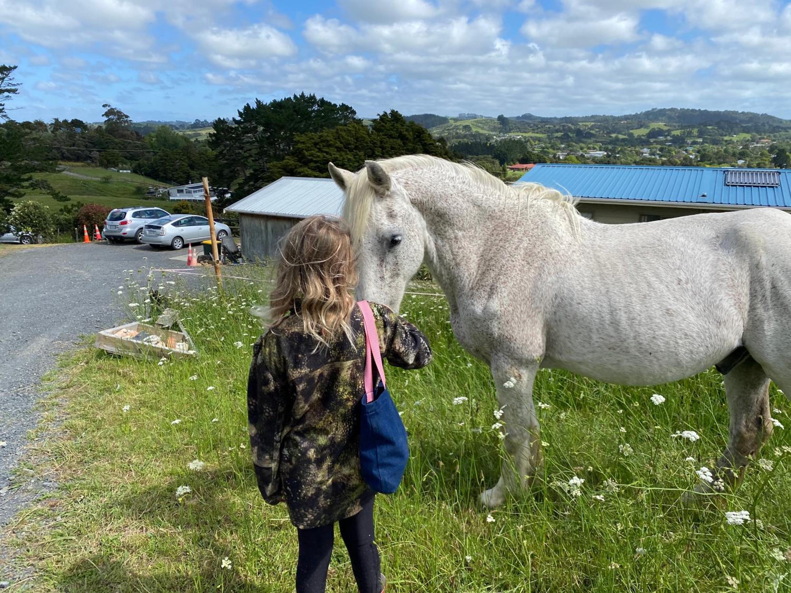 Pukeatua Farmstay